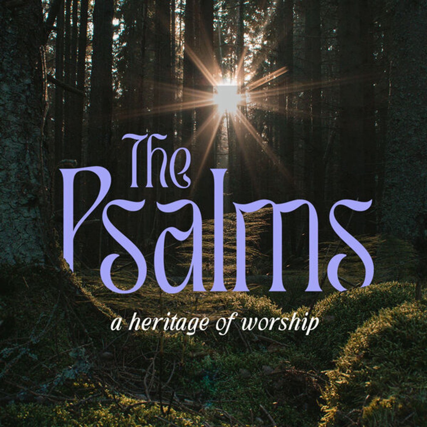 8/11/24 - Paul Clark - Psalm 21