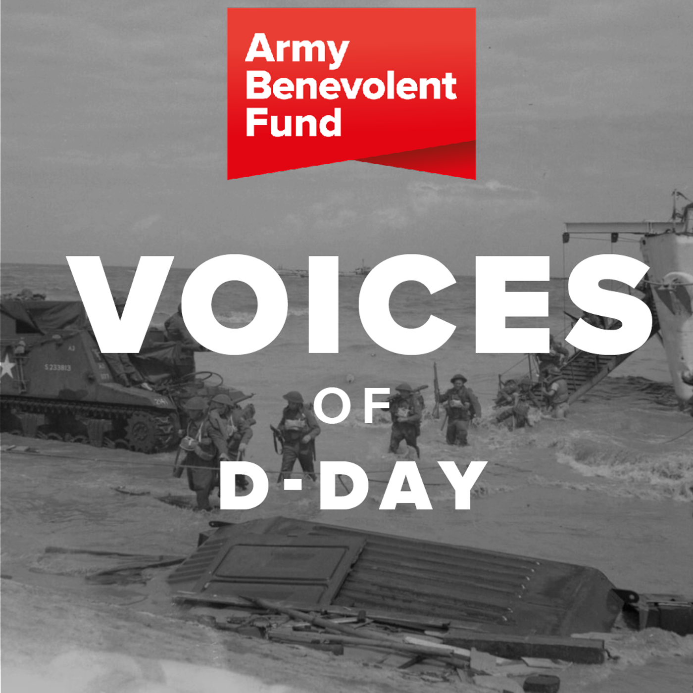 8: Voices of D-Day episode artwork