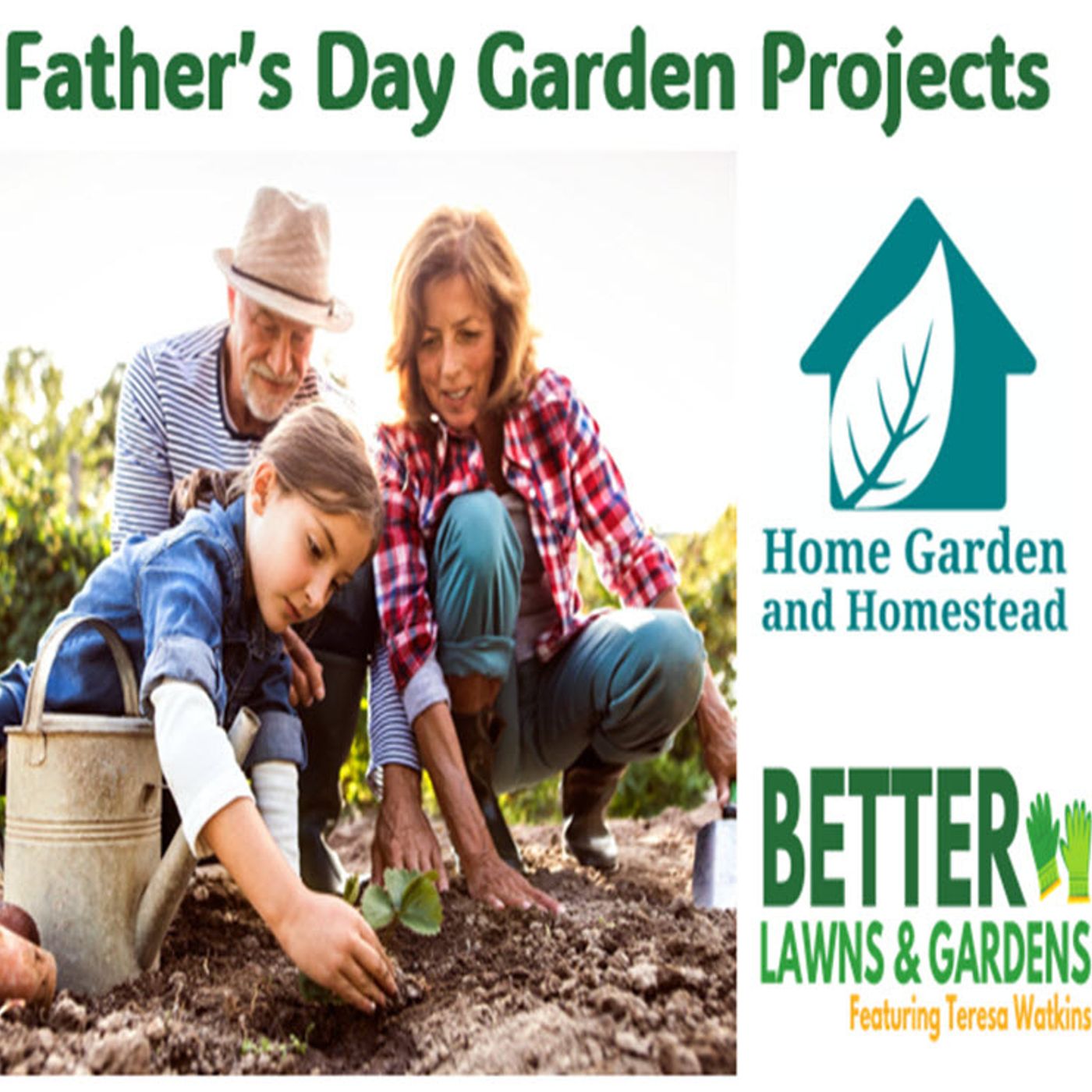 Better Lawns and Gardens - Hour 2 Delicious Father's Day Project for Family June 15, 2024