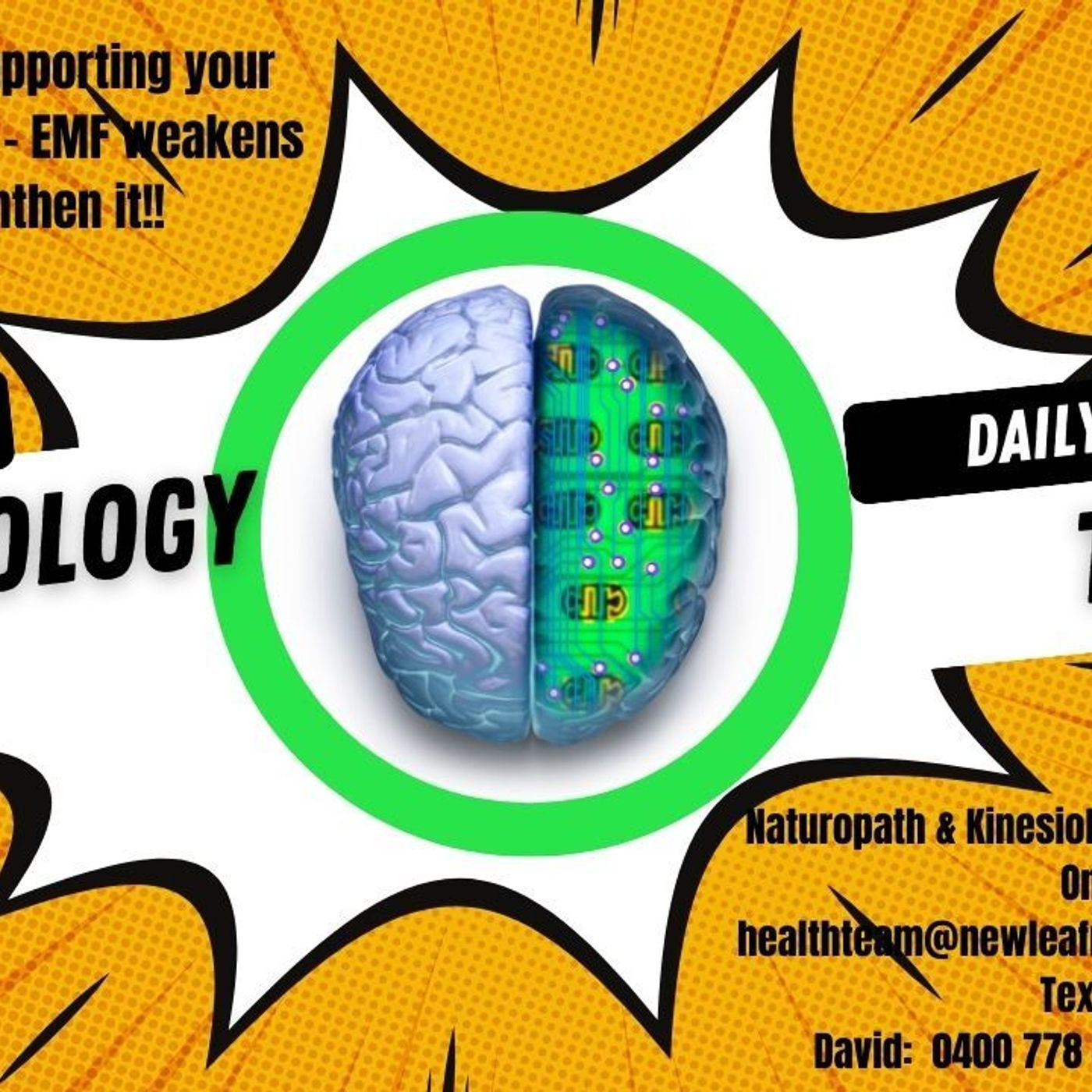 Tip of the Day:  Blood Brain Barrier - nutrients and herbs for your brain health!