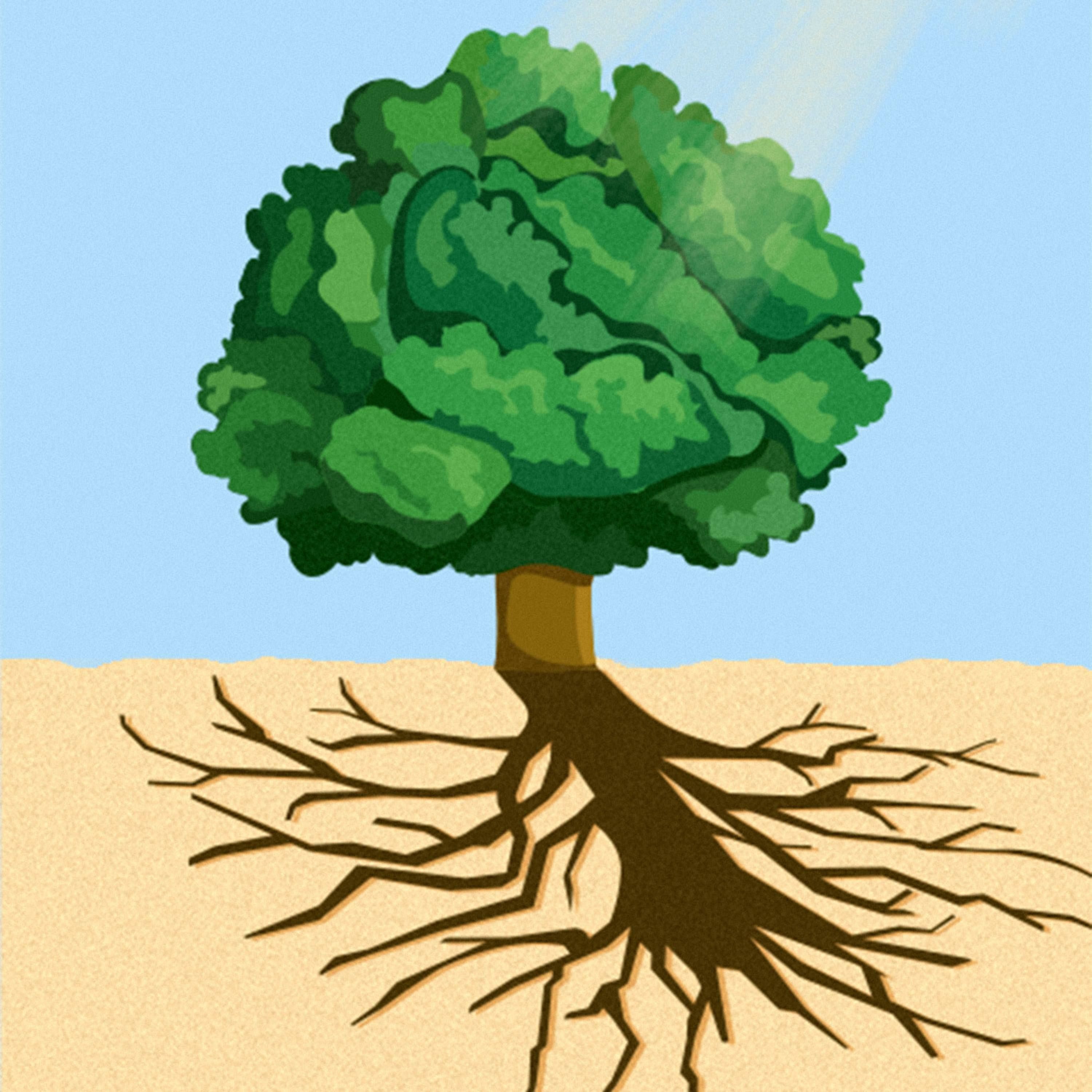 Resúmenes de lectura rápida