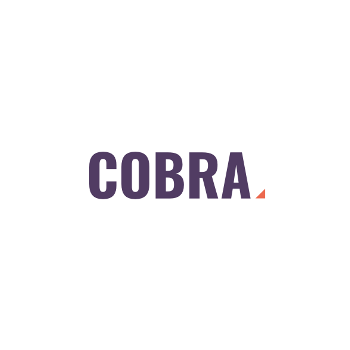Q&A with Cobra Resources CEO, Rupert Verco