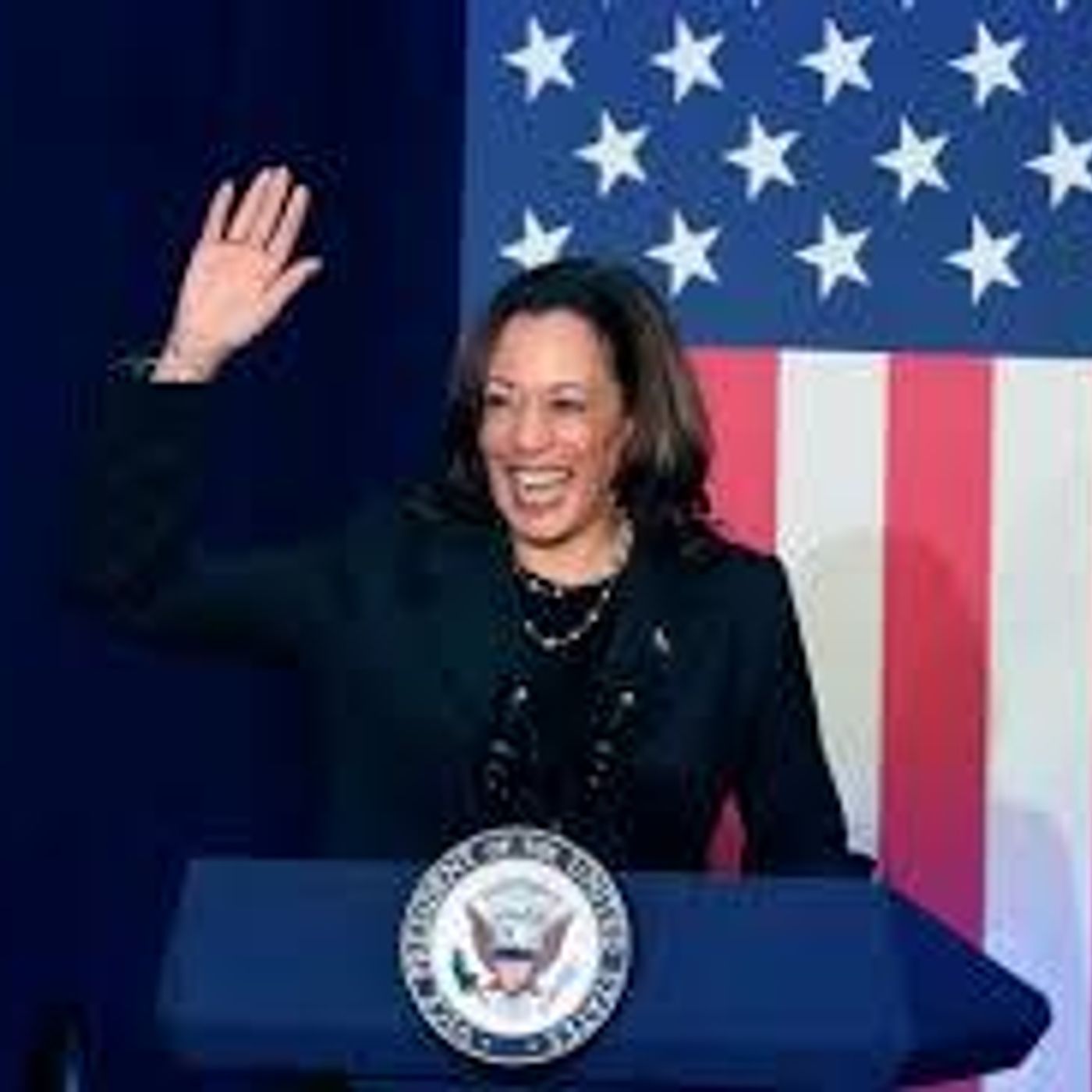 July 21, 2024 - Harris confirms she will seek Democratic nomination after Biden drops out
