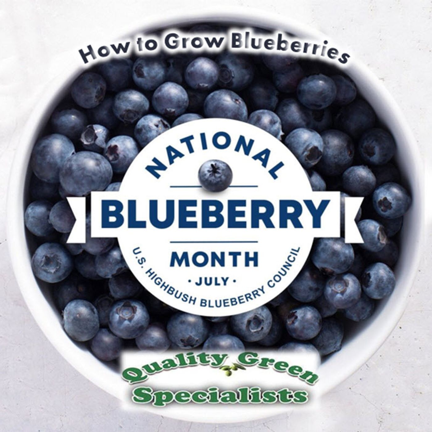 Better Lawns and Gardens - Hour 1 National Blueberry Month - How To Grow Blueberries July 27 2024