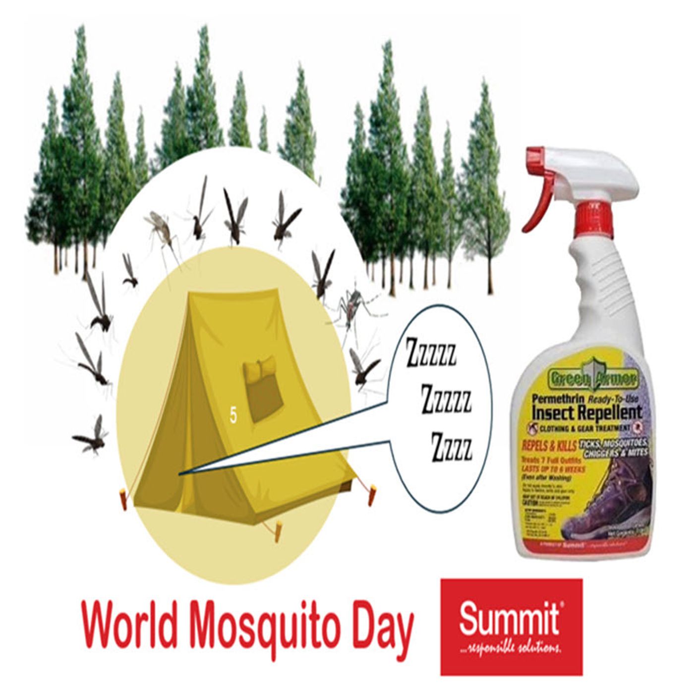 Better Lawns and Gardens - Hour 1 World Mosquito Day August 10, 2024