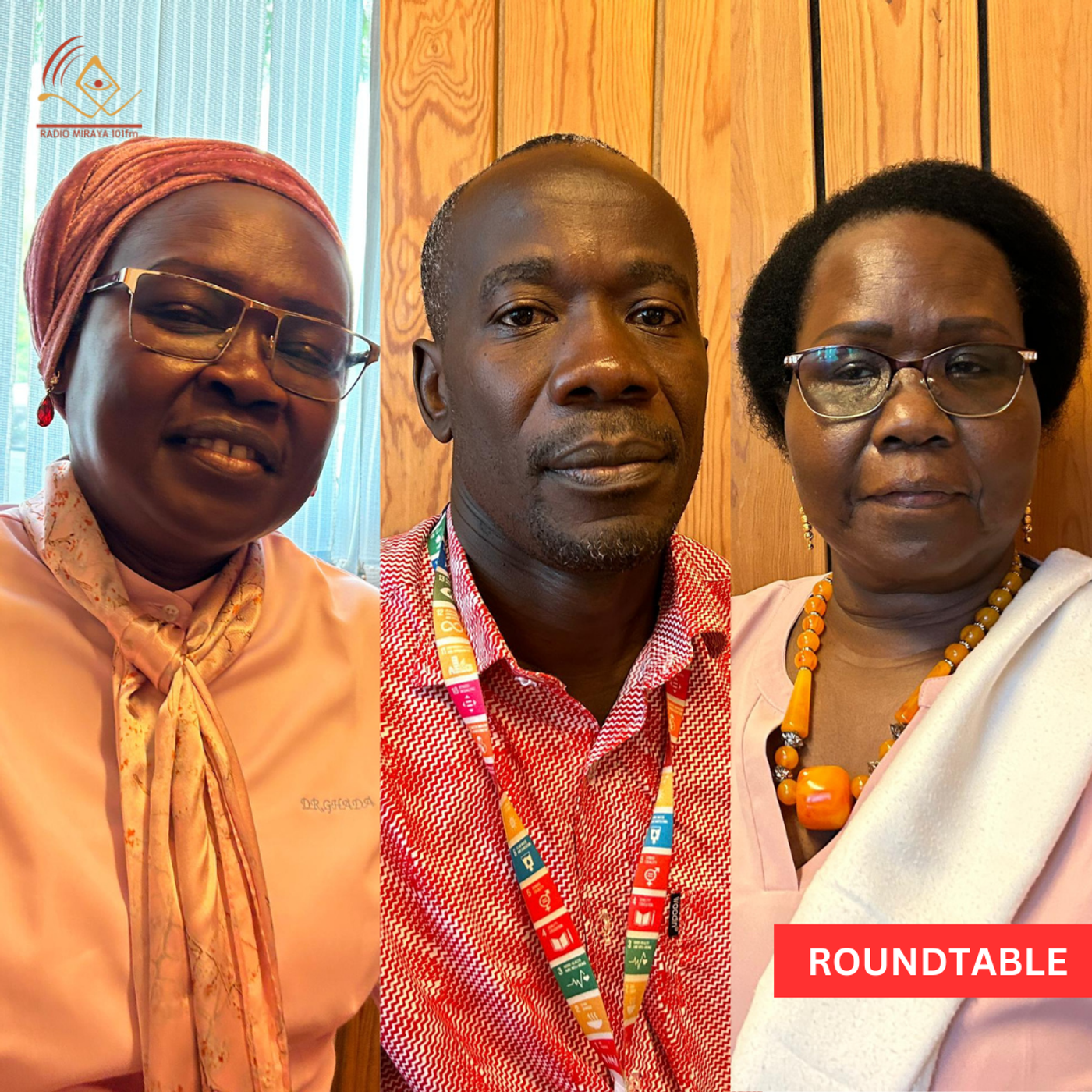 ROUNDTABLE: Impact of Conflict on Food Production and Livelihoods in South Sudan