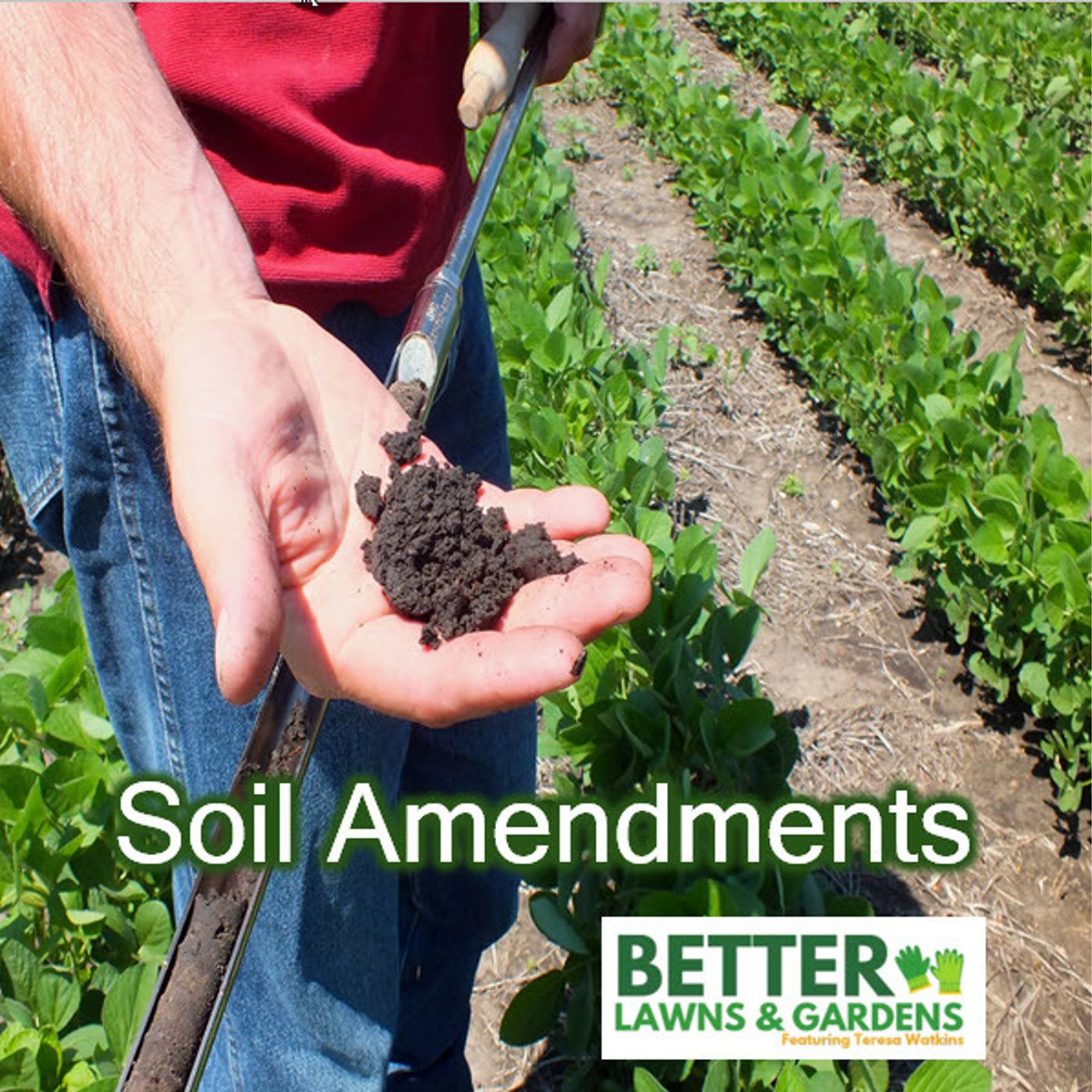 Better Lawns and Gardens - Hour 1 Soil Amendments August 24, 2024