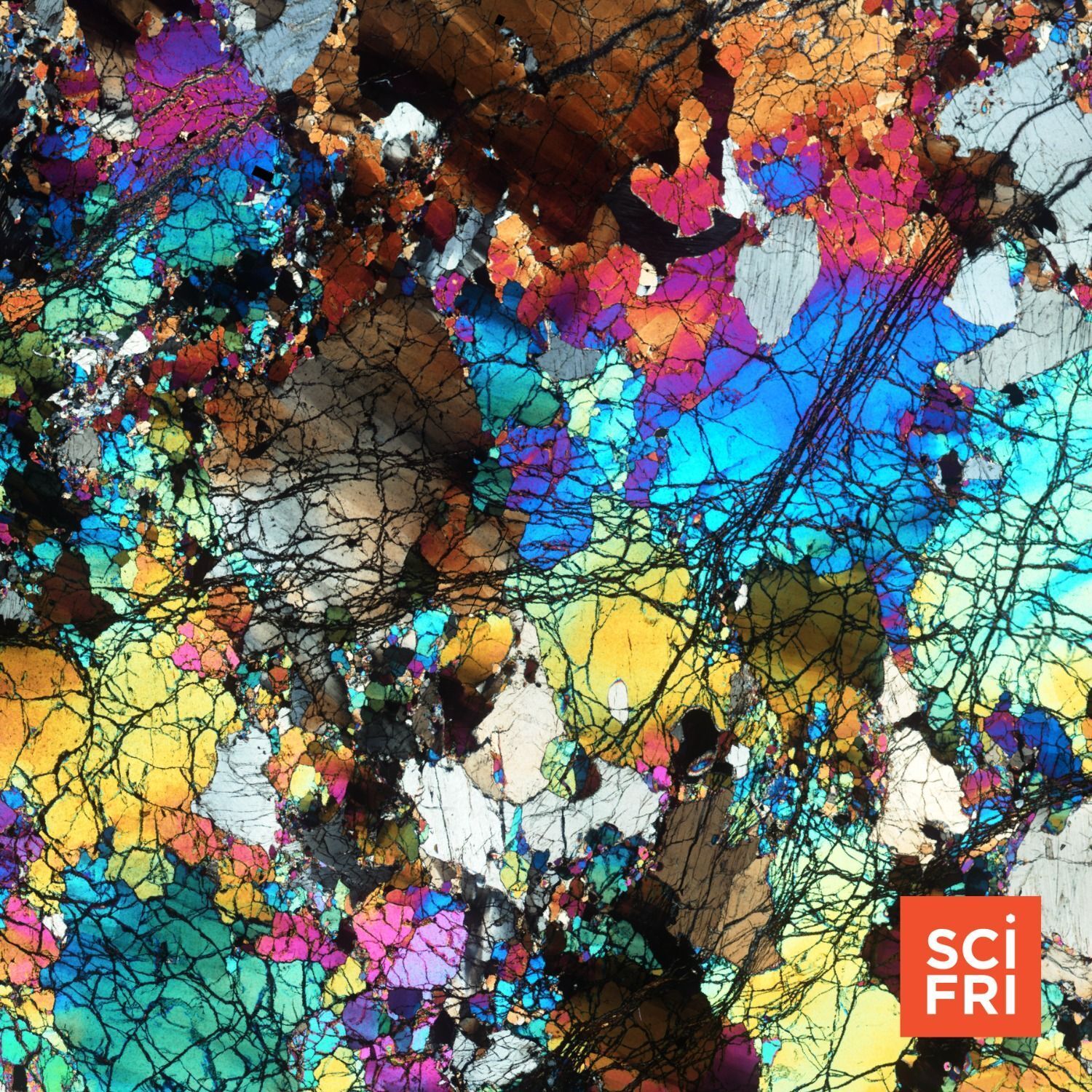 858: ‘Time Capsule’ Rocks And Earth’s Mantle | Genetically Engineering Stronger Wood episode artwork