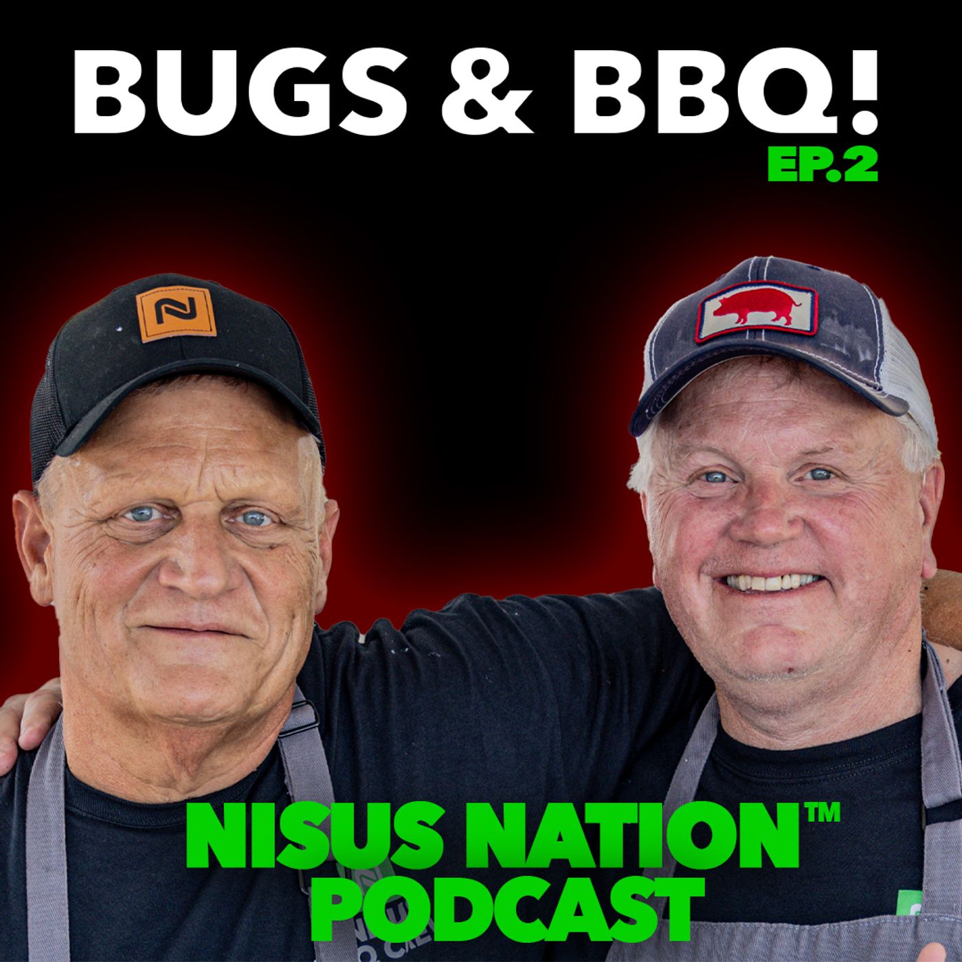 2: Bugs & BBQ