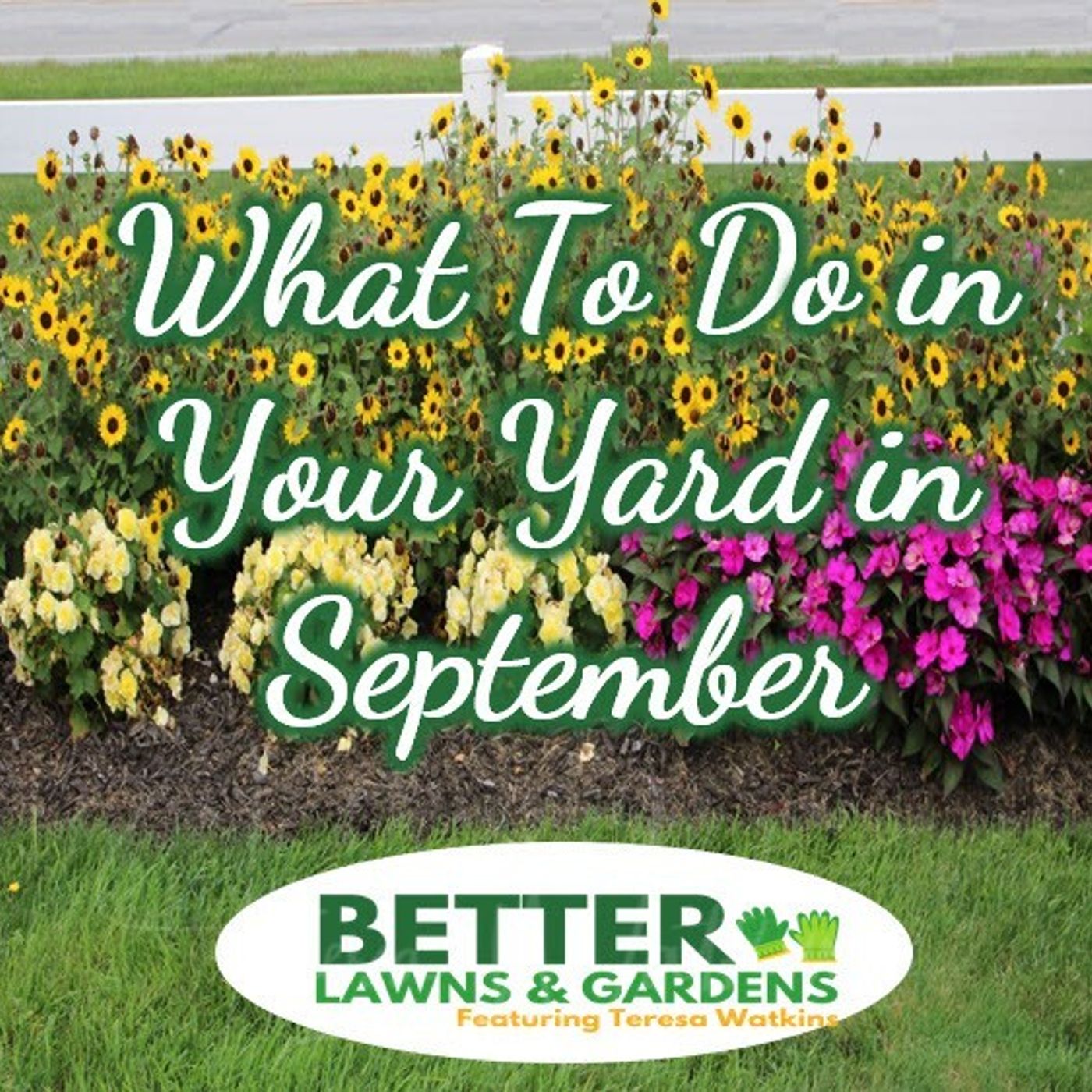 Better Lawns and Gardens - Hour 1 What To Do In Your Yard September 14, 2024