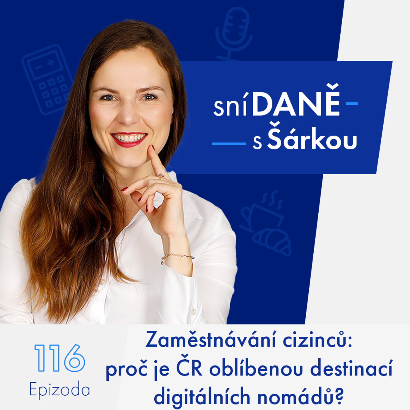 116: Zaměstnávání cizinců: proč je ČR oblíbenou destinací digitálních nomádů? episode artwork