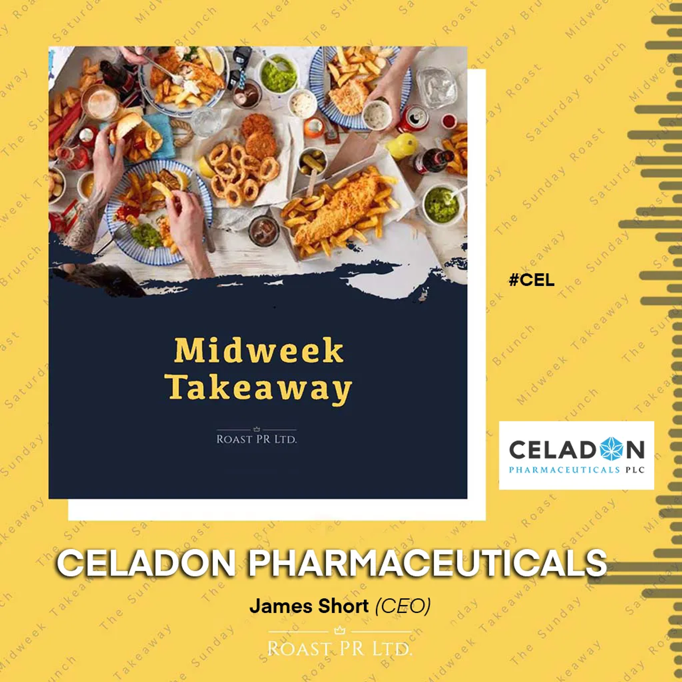 S9 Ep13: Midweek Takeaway with James Short, CEO of Celadon Pharmaceuticals (AIM:CEL) #CEL episode artwork