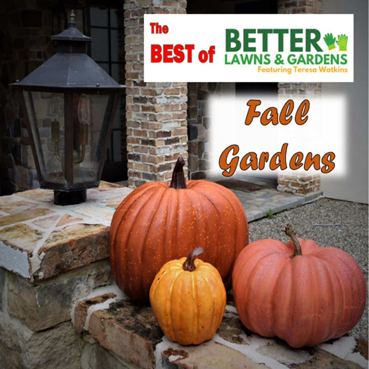 Best Of Better Lawns and Gardens - Hour 1 Fall Gardening and Pumpkins Sept 28, 2024
