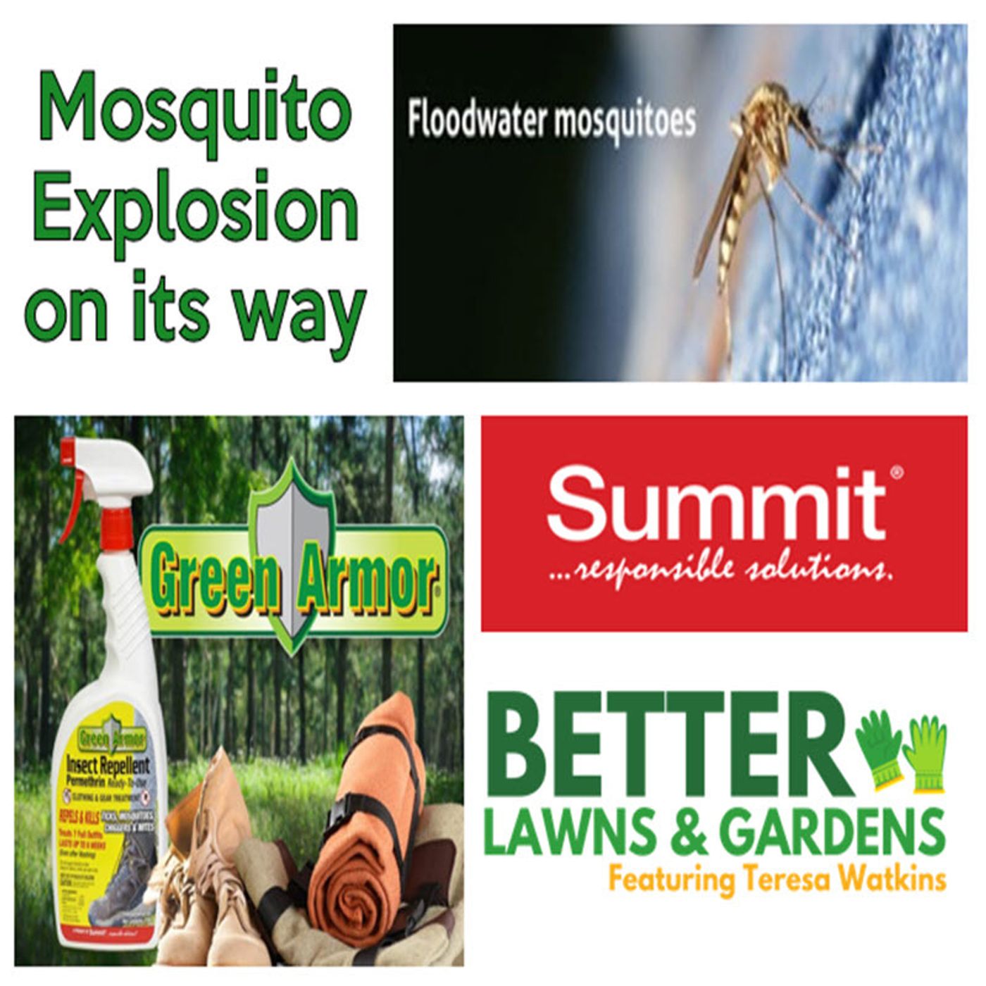 Better Lawns and Gardens - Hour 2 Floodwater Mosquitos Summit October 5, 2024