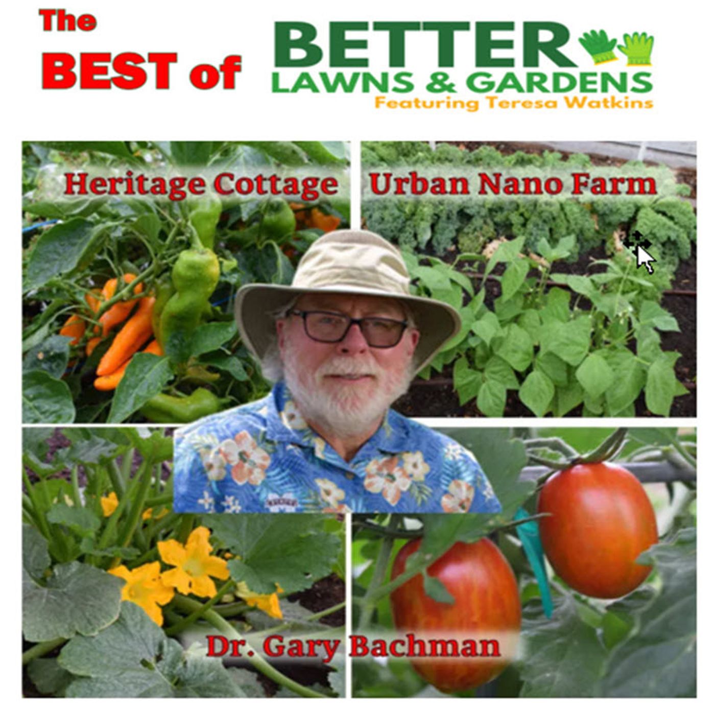 S2 Ep317: Best Of Better Lawns and Gardens - Dr. Gary Bachman Heritage Cottage Urban Nano Farm October 12, 2024