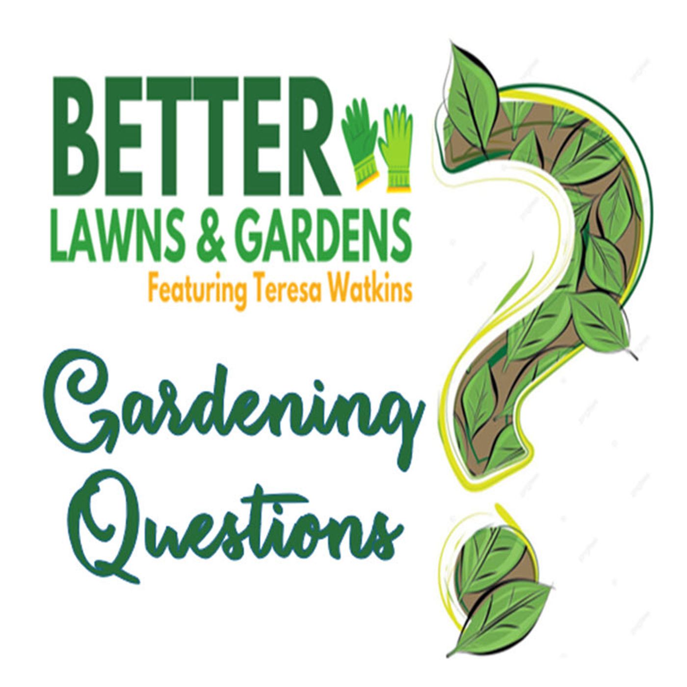 Better :Lawns and Gardens - Hour 1 Teresa Answers Your Garden Questions Oct 19, 2024