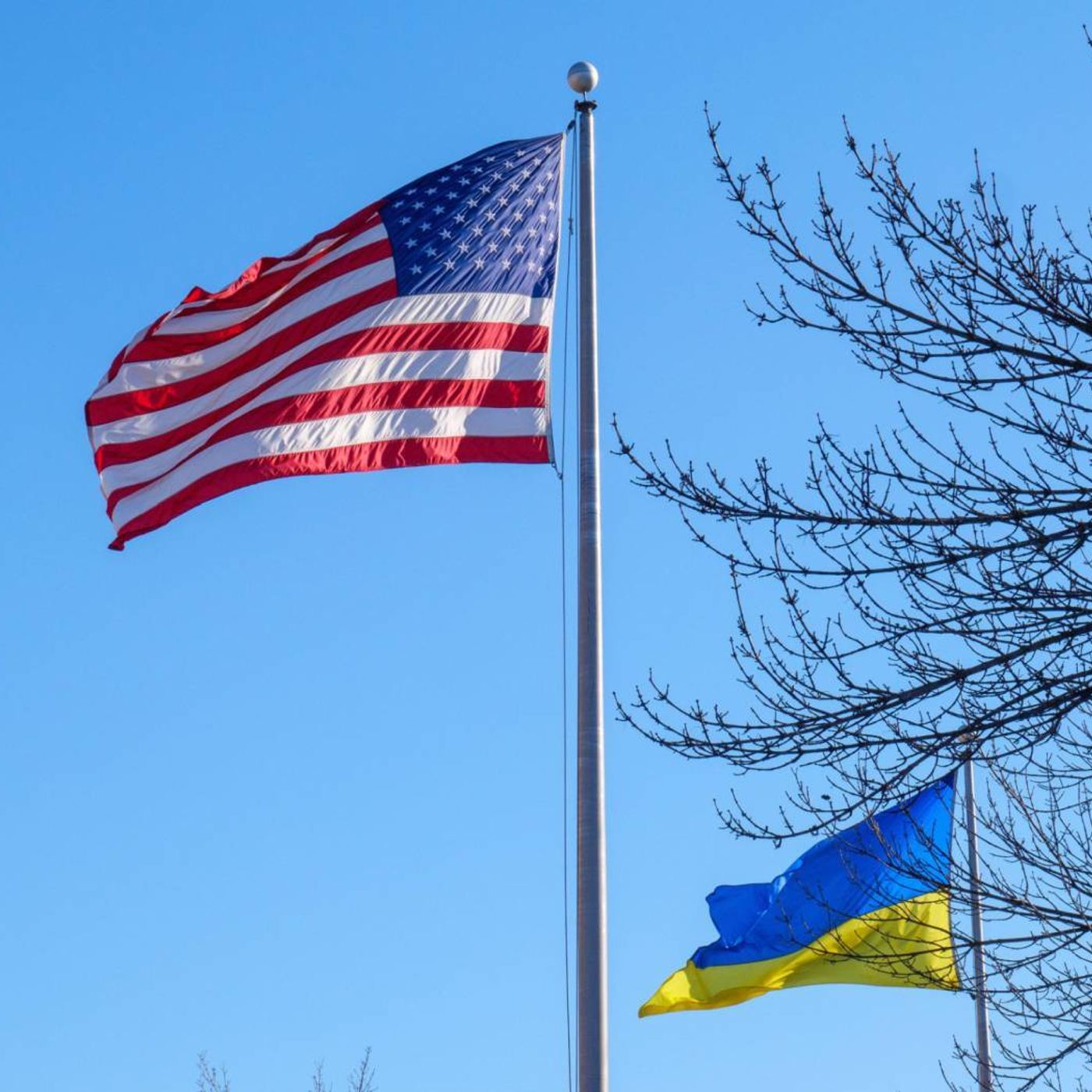 EI Weekly Listen — Alina Polyakova on Ukraine and the future of US global leadership