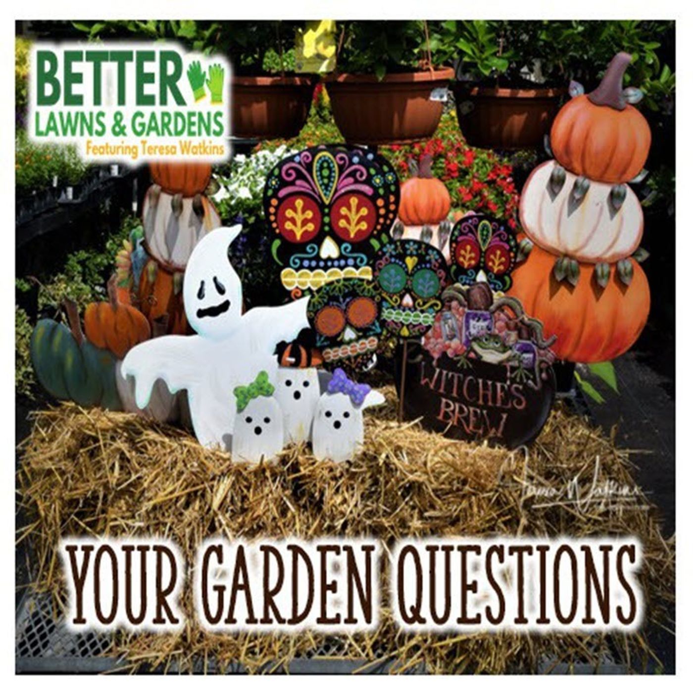 Better Lawns and Gardens - Hour 2 Your Gardening Questions October 26, 2024