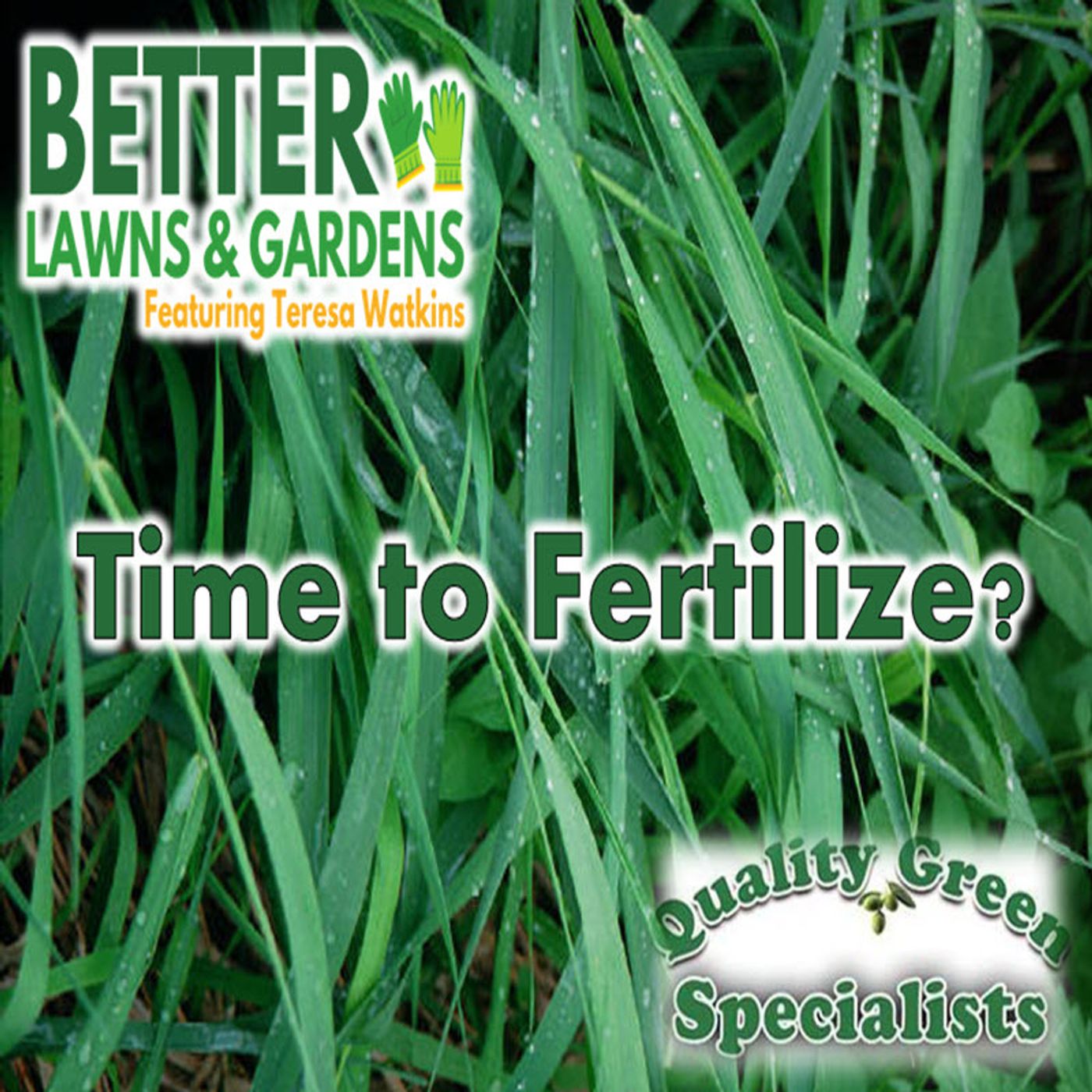 Better Lawns and Gardens - Hour 1 Time to Fertilize? Dana Venrick November 2 2024