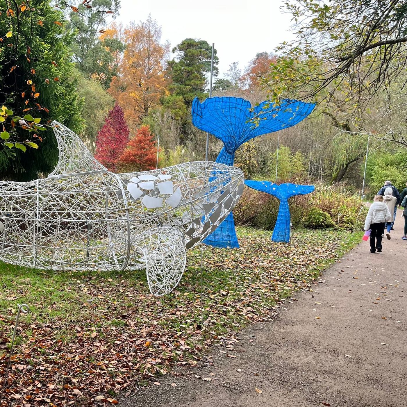 S202411 Ep5: Paul O'Mahony - WALKING FOR MENTAL HEALTH - Day 4 of #napodpomo.