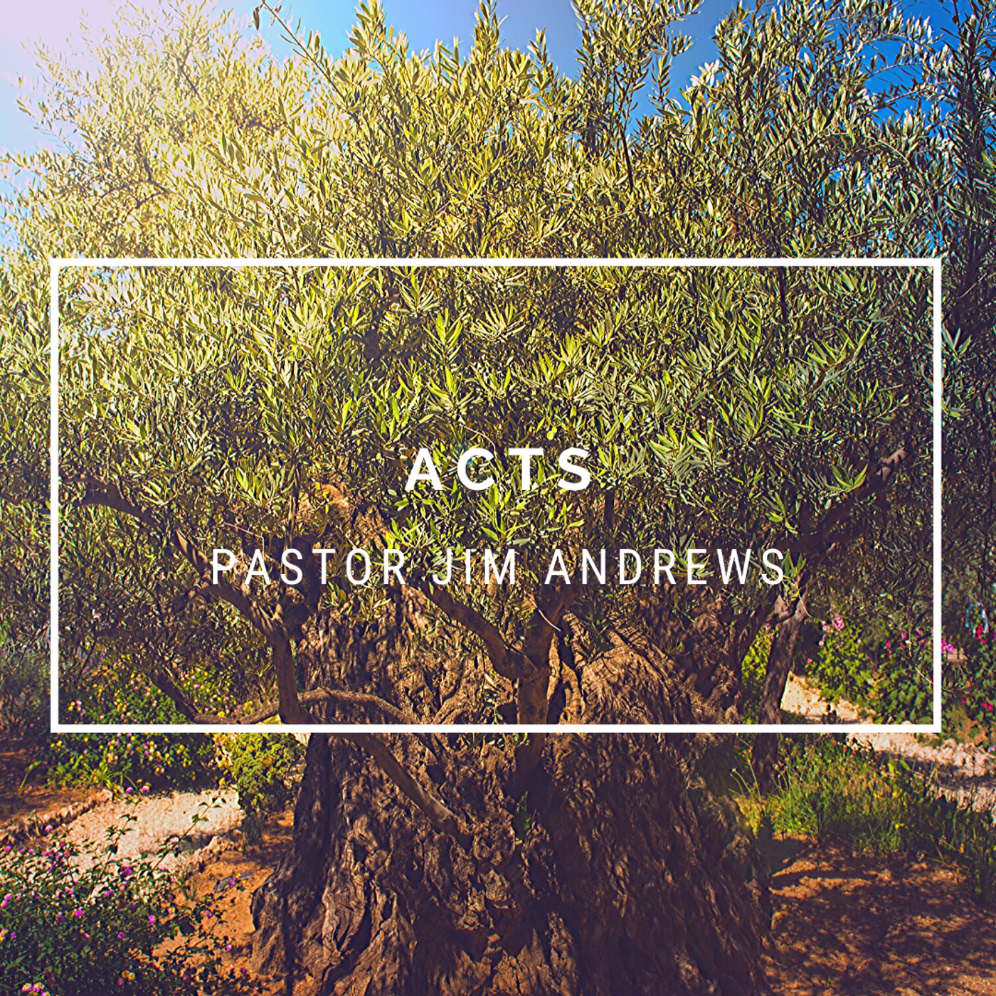 S21 Ep239: 12-01-2022 - Acts 9:23-26