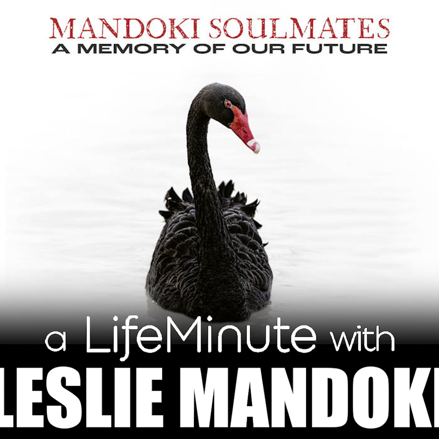 LifeMinute Entertainment