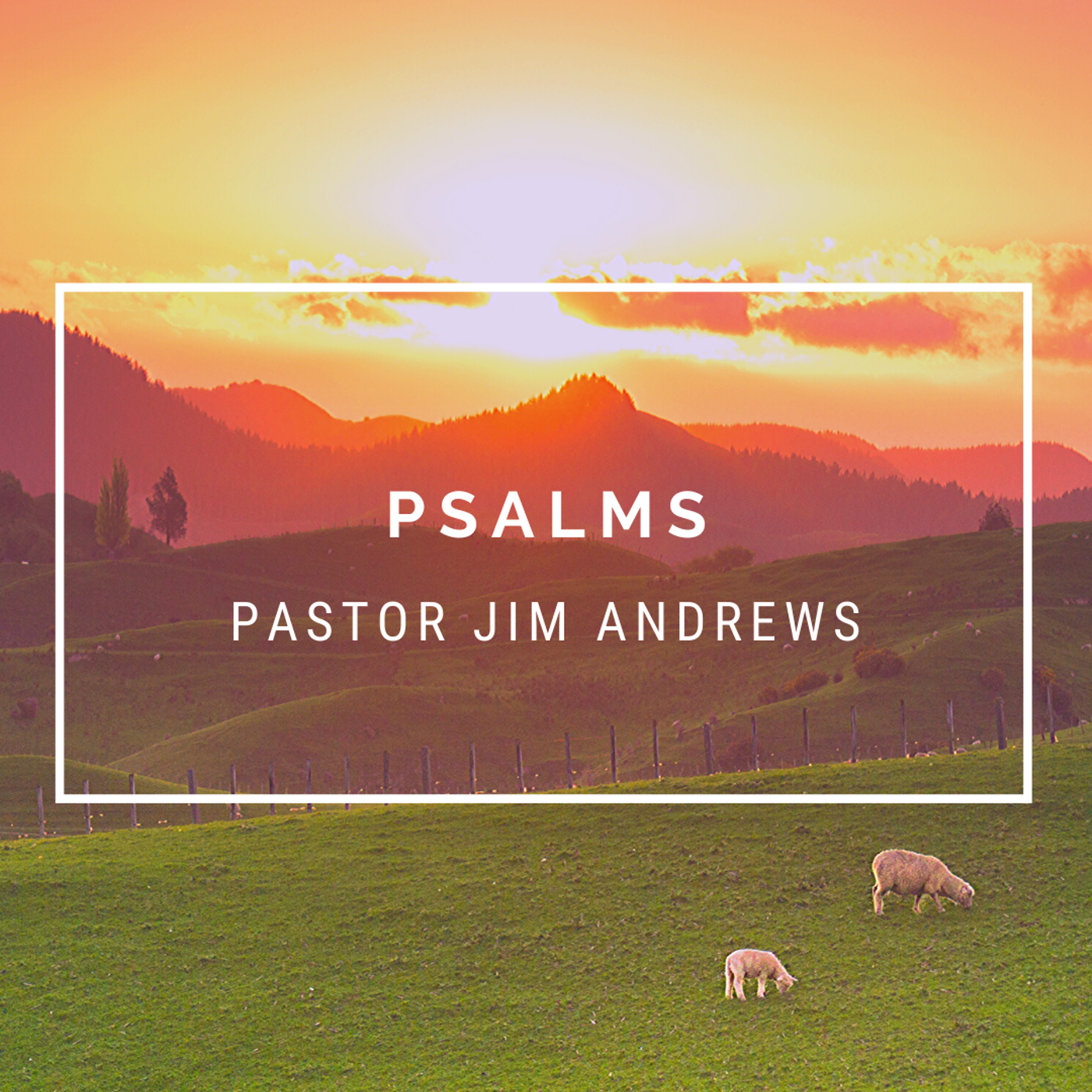 S22 Ep52: 03-14-2023 - Psalm 7 (part 2)