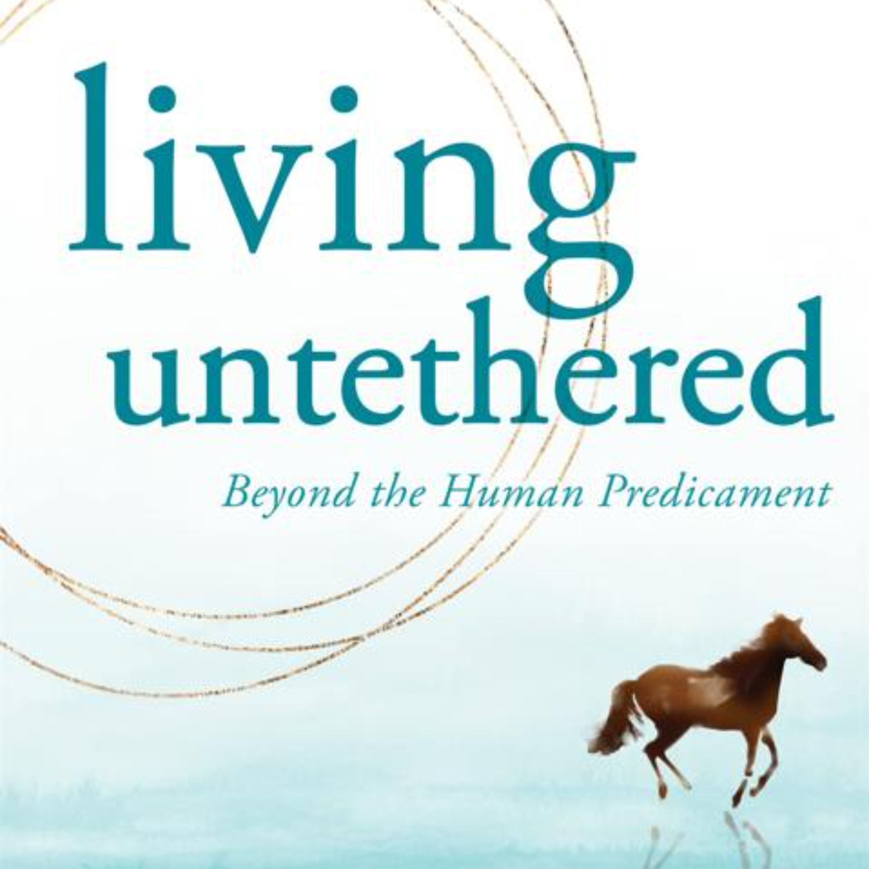 Living Untethered: Key Insights from   Michael A. Singer