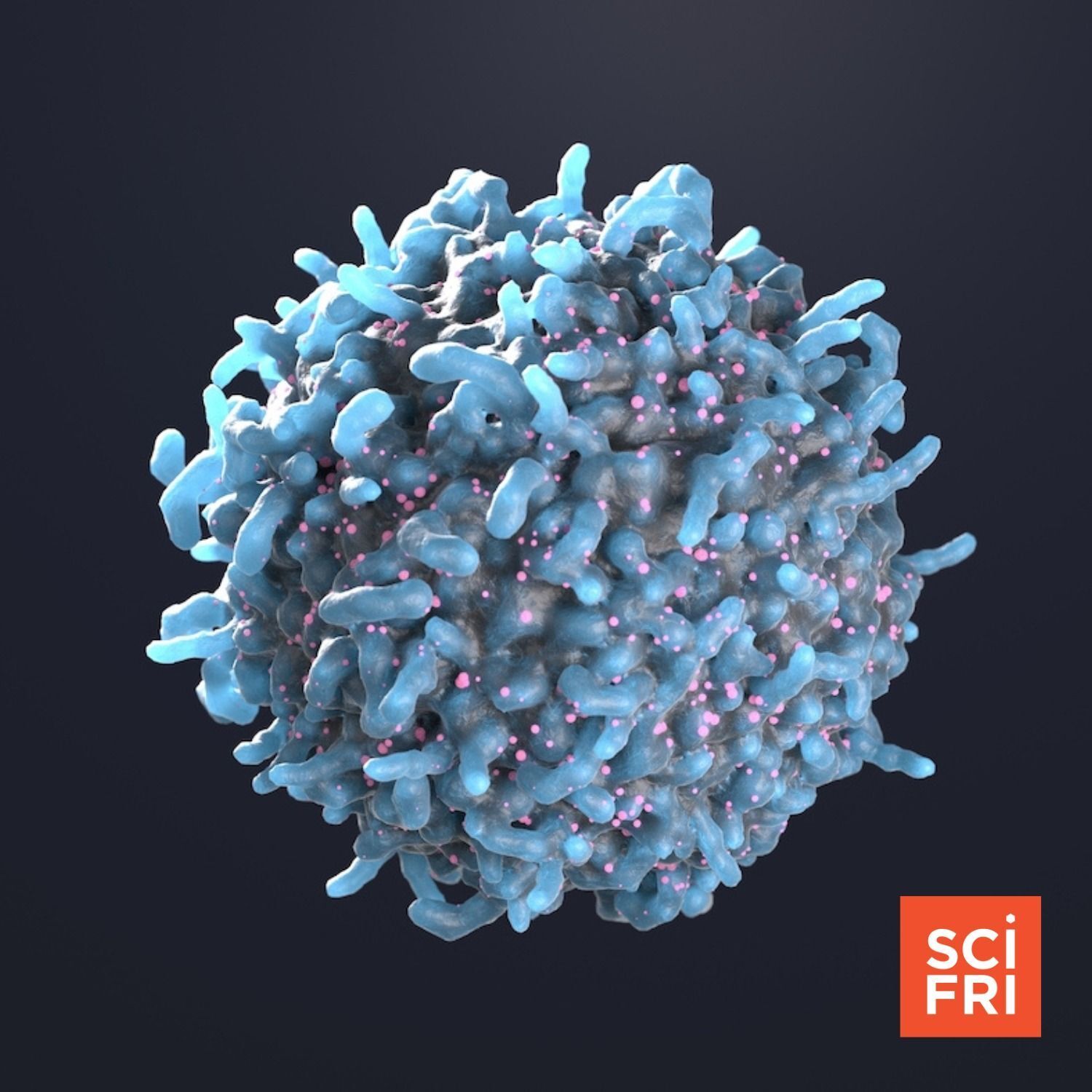 902: CAR-T Cell Therapy For Autoimmune Diseases | Measuring Early Life Adversity—In Marmots episode artwork