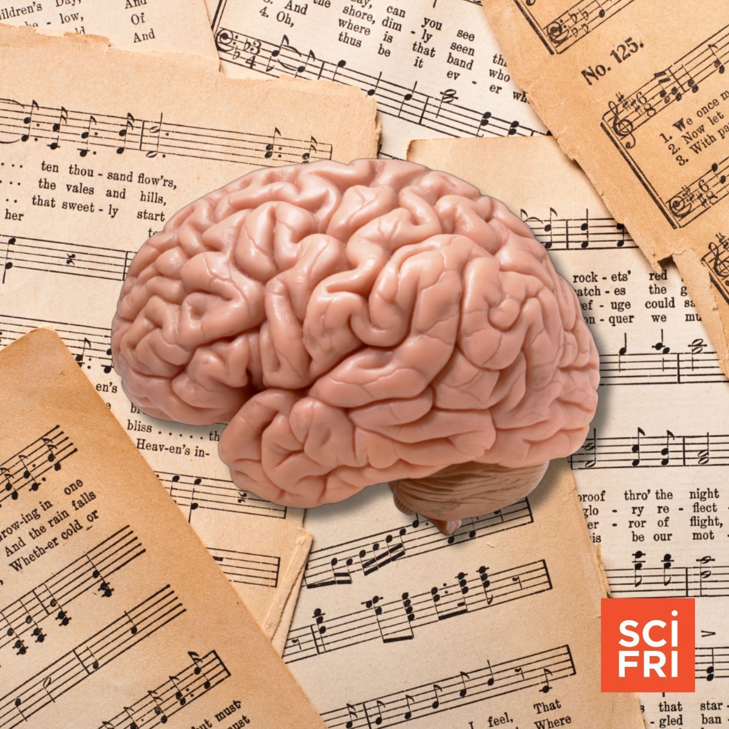 903: Oliver Sacks Searched The Brain For The Origins Of Music episode artwork