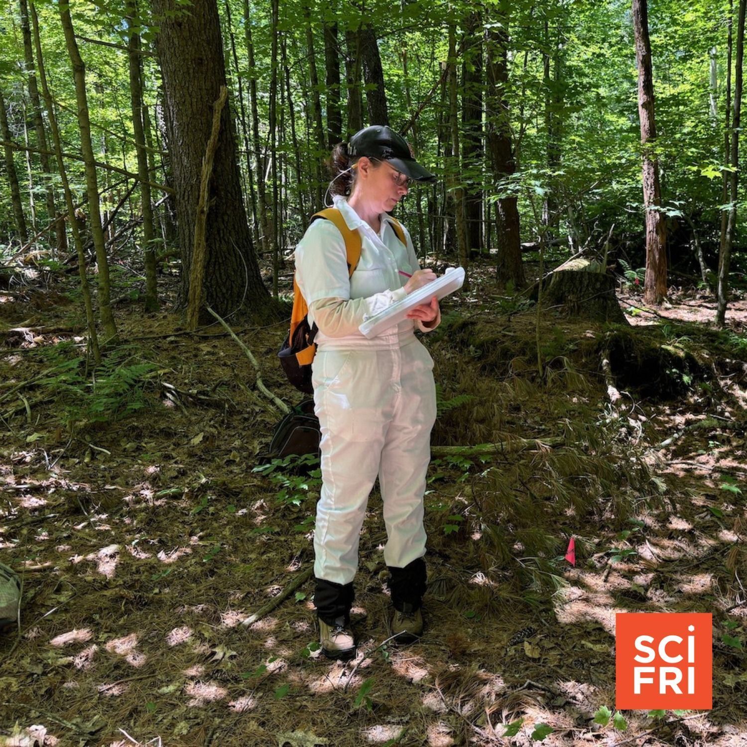 906: Managing Invasive Plants And Ticks Together | Clue Into The Evolution Of The Bird Brain episode artwork