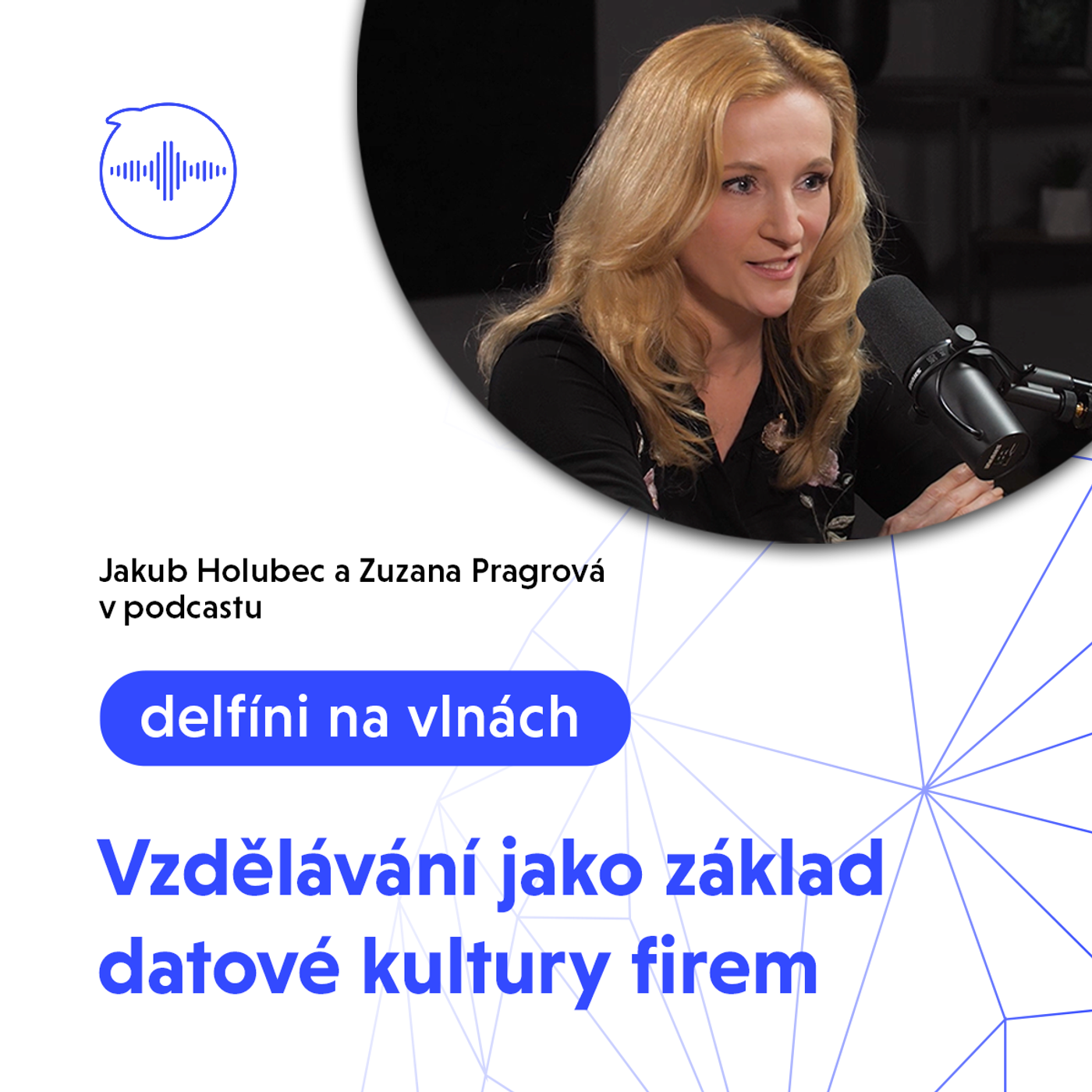 20: Vzdělávání jako základ datové kultury firem episode artwork