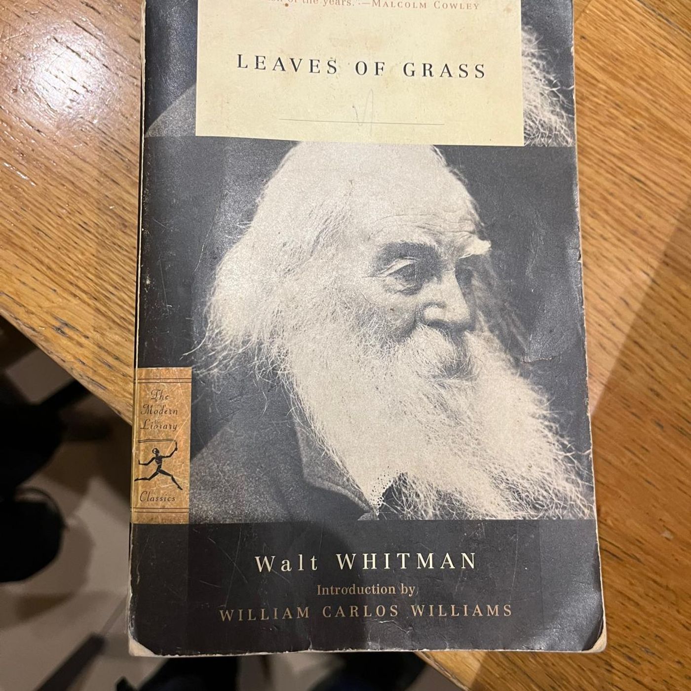 S202411 Ep22: Paul O'Mahony  on the WALT WHITMAN SHOW - "Proud music of the storm" Part 6.  #napodpomo Day 21