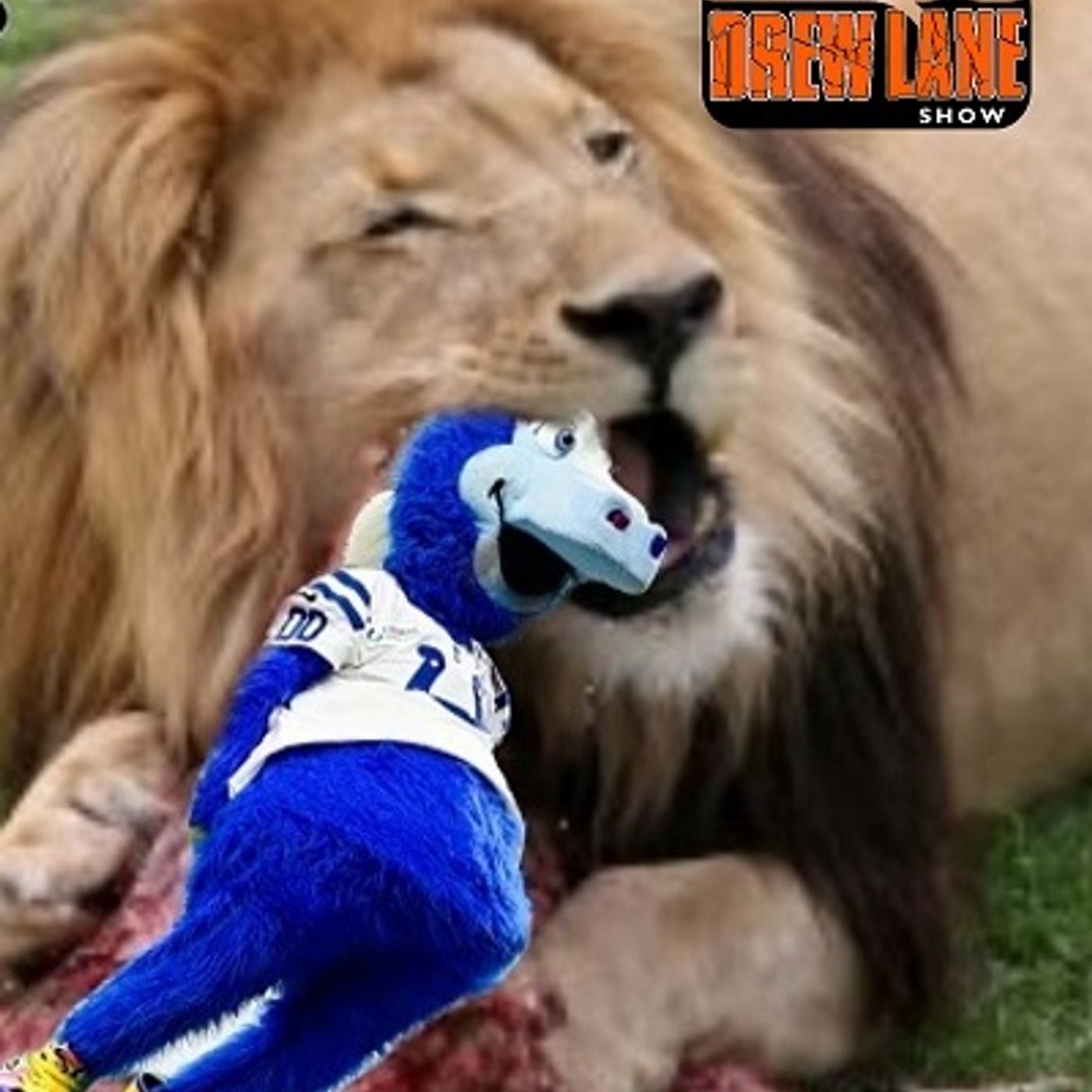 Lions Crush Colts – November 24, 2024