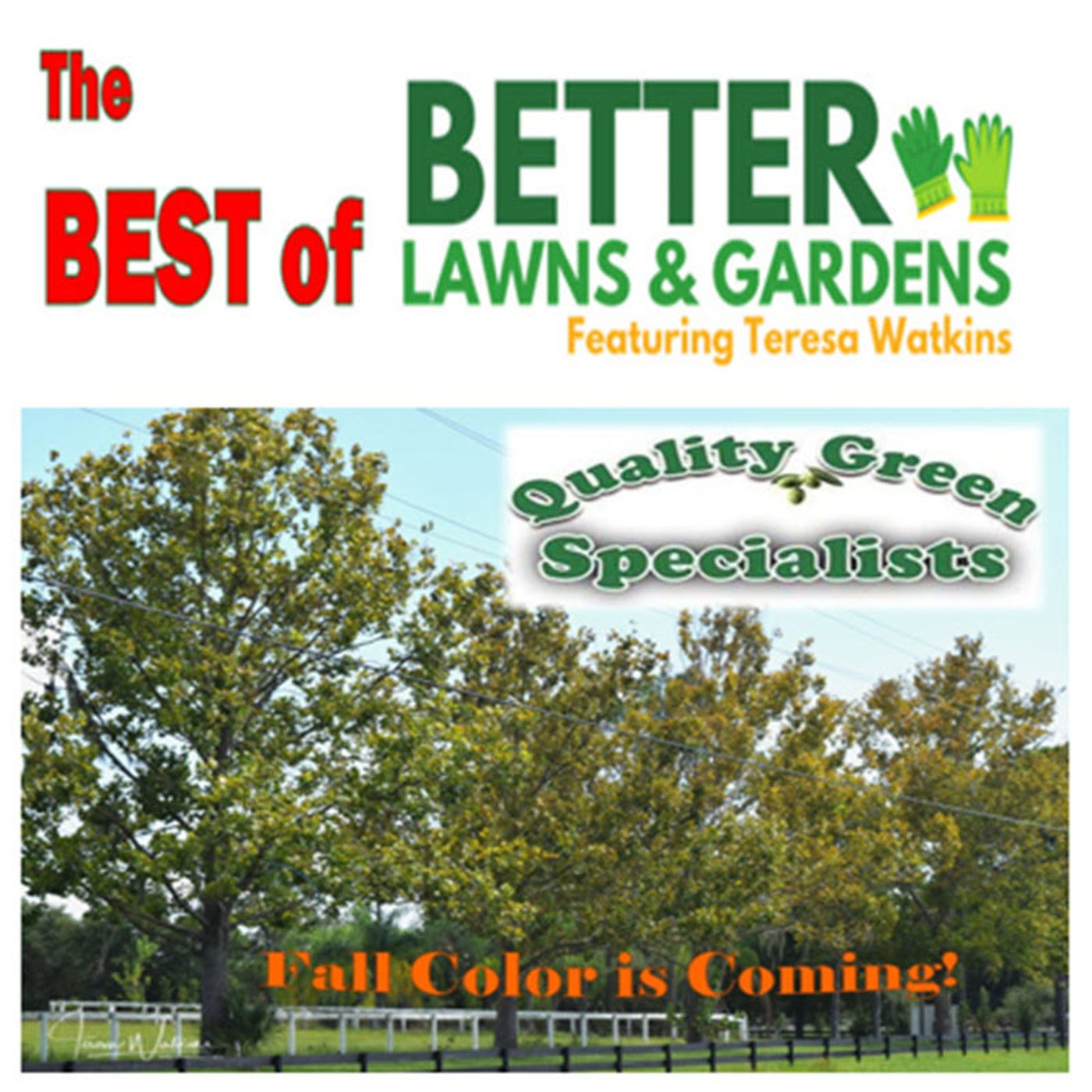 Better Lawns and Gardens - Hour 1 Fall Color November 23, 2024