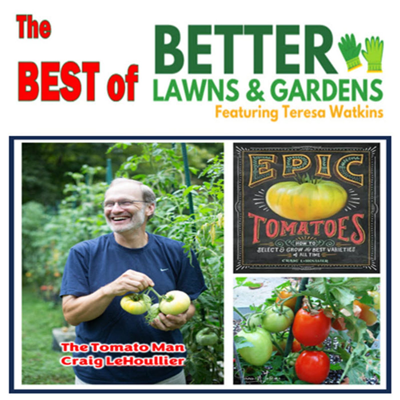 Best of Better Lawns and Gardens - Hour 2 The Tomato Man November 23, 2024