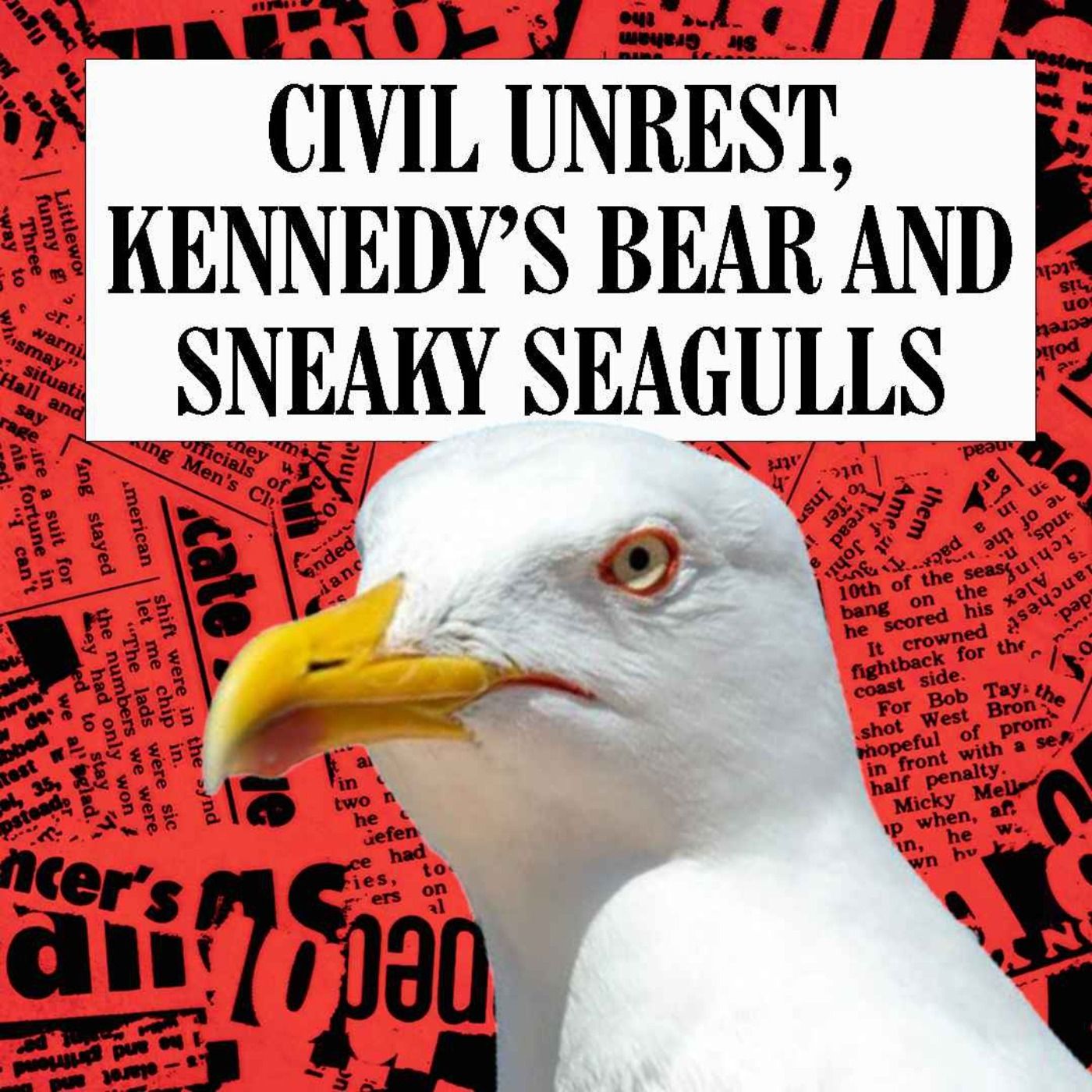 Civil Unrest, Kennedy's Bear and Sneaky Seagulls