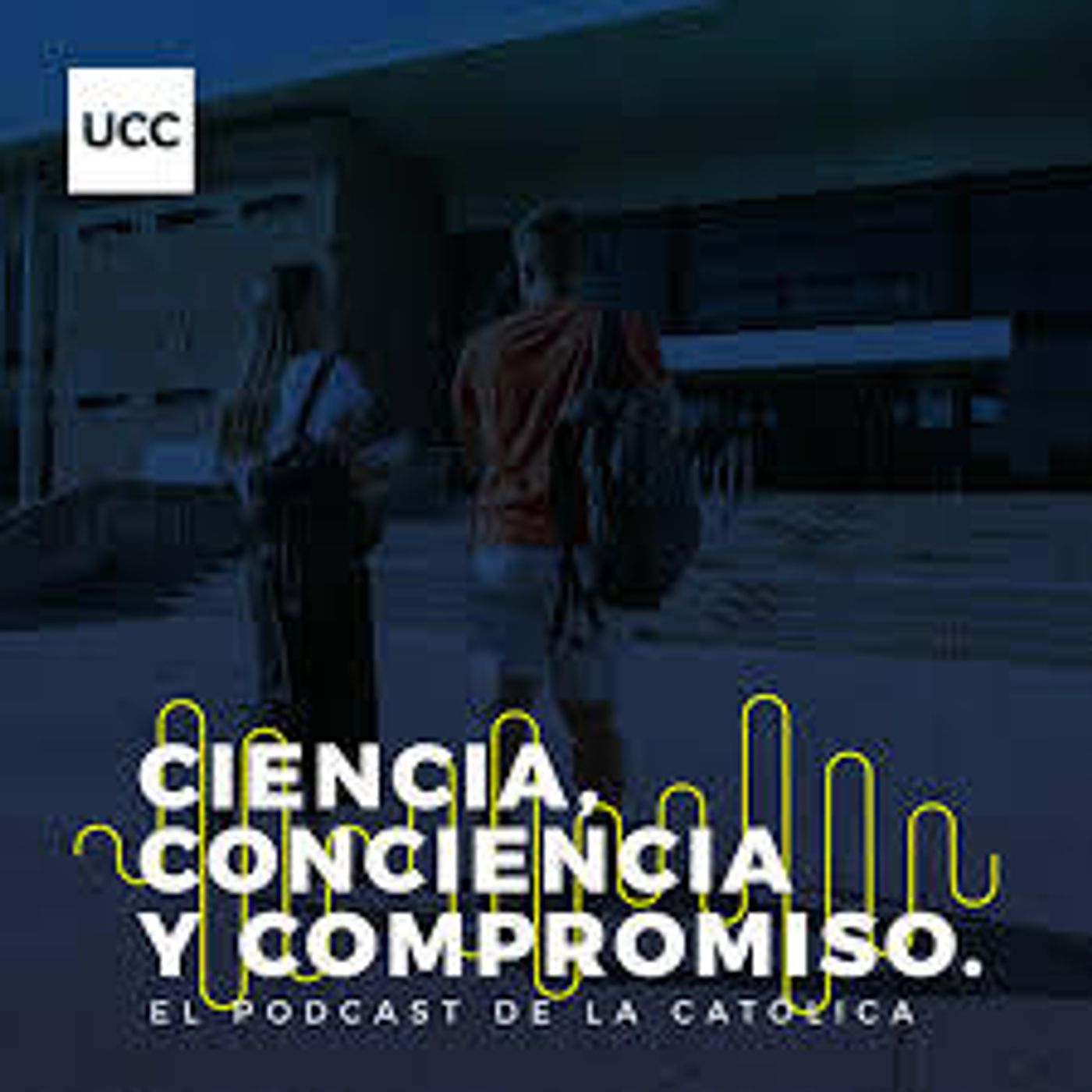 28: Cómo investigan en la UCC un problema mundial de la producción equina 28: Cómo investigan en la UCC un problema mundial de la producción equina