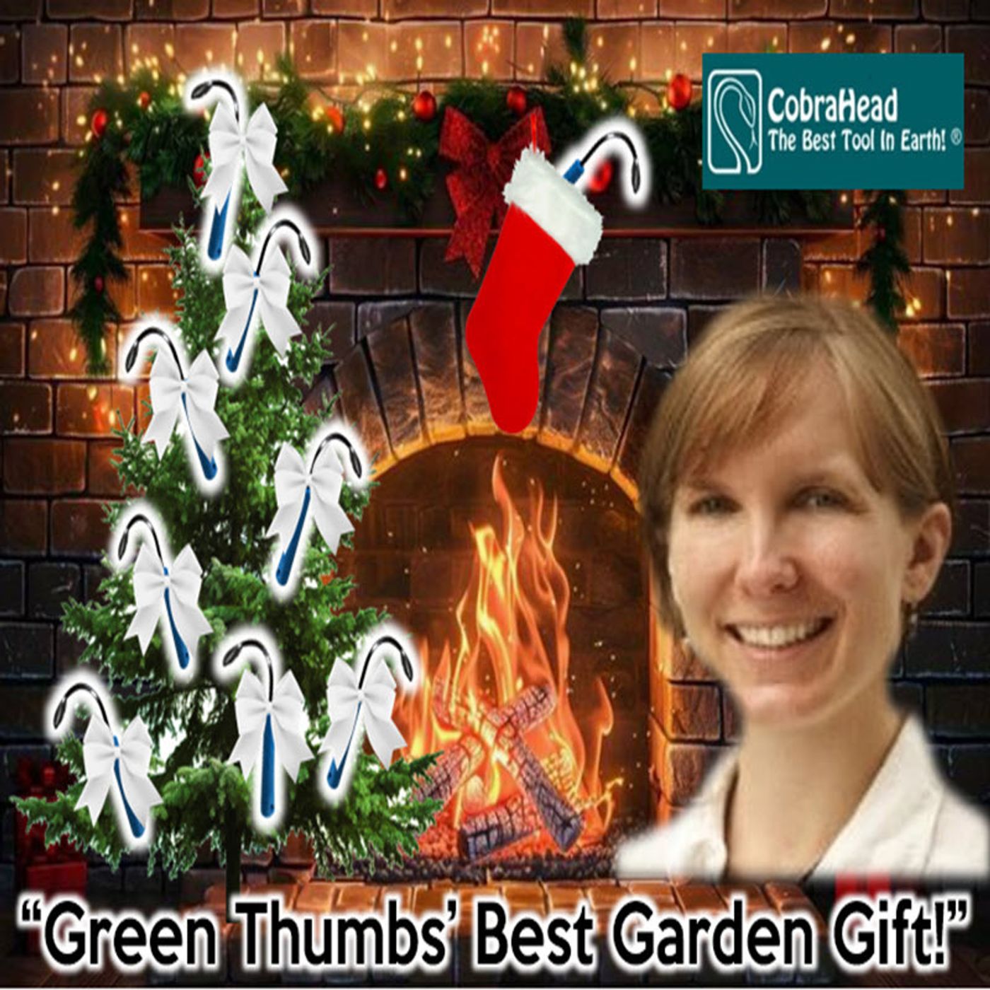 S2 Ep332: Better Lawns and Gardens - Hour 2 Green Thumb's Best Garden Gift December 7, 2024