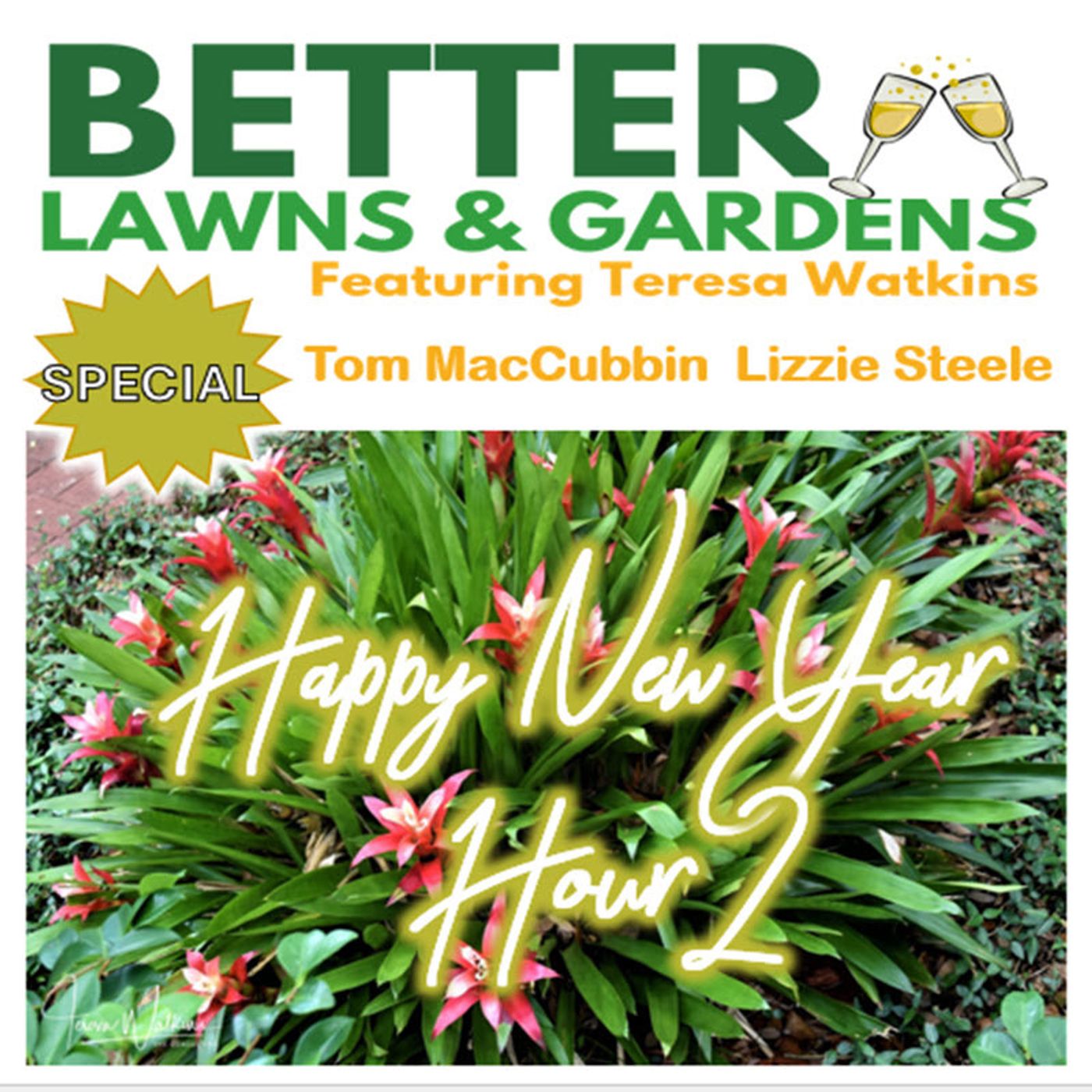 S2 Ep334: Better Lawns and Gardens - Hour 2 New Year's Special December 28, 2024