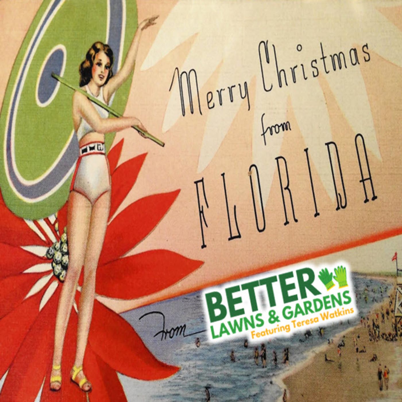 Better Lawns and Gardens - Hour 1 Winter Garden Questions December 21, 2024