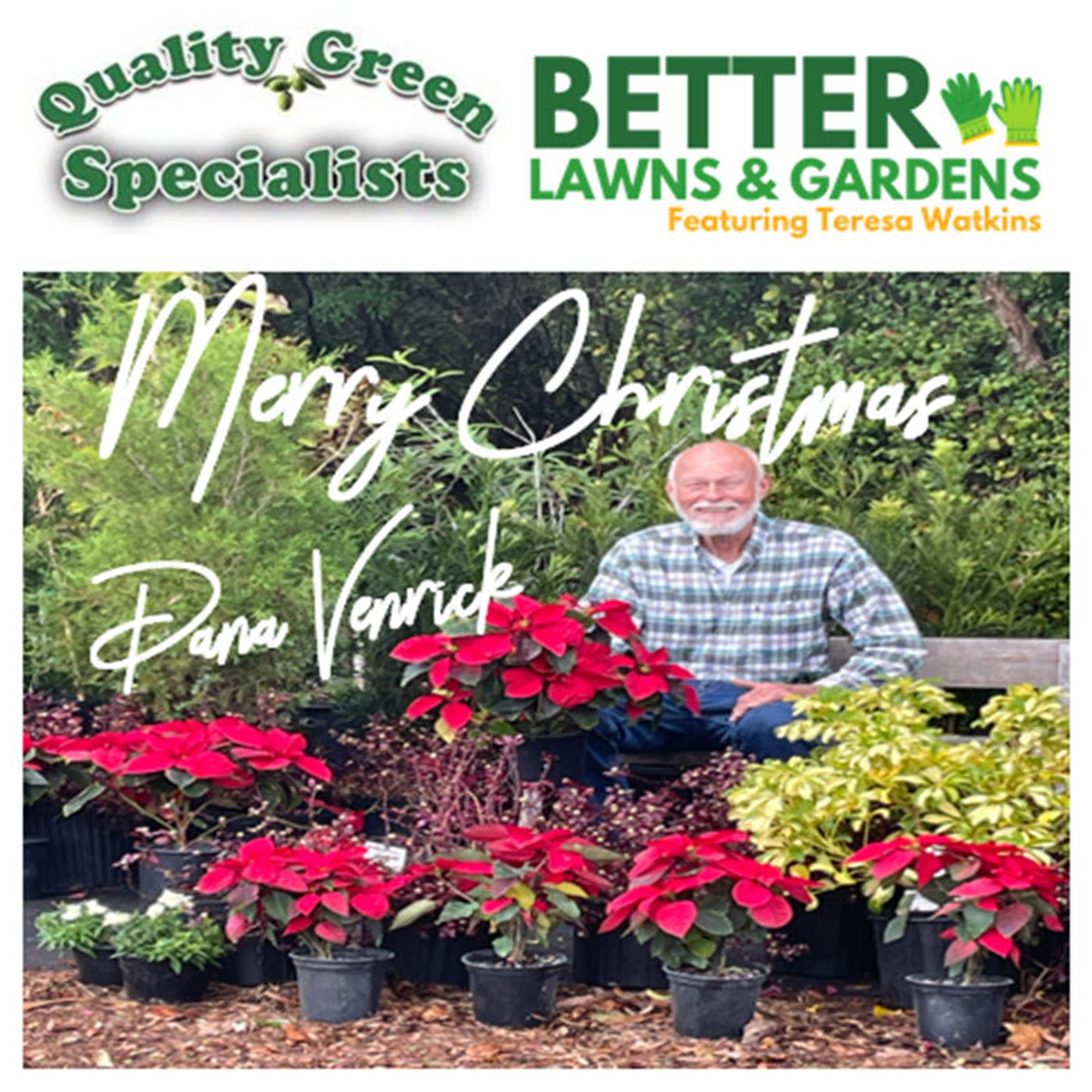 Better Lawns and Gardens - Hour 2 Christmas Quality Green Specialists December 21, 2024