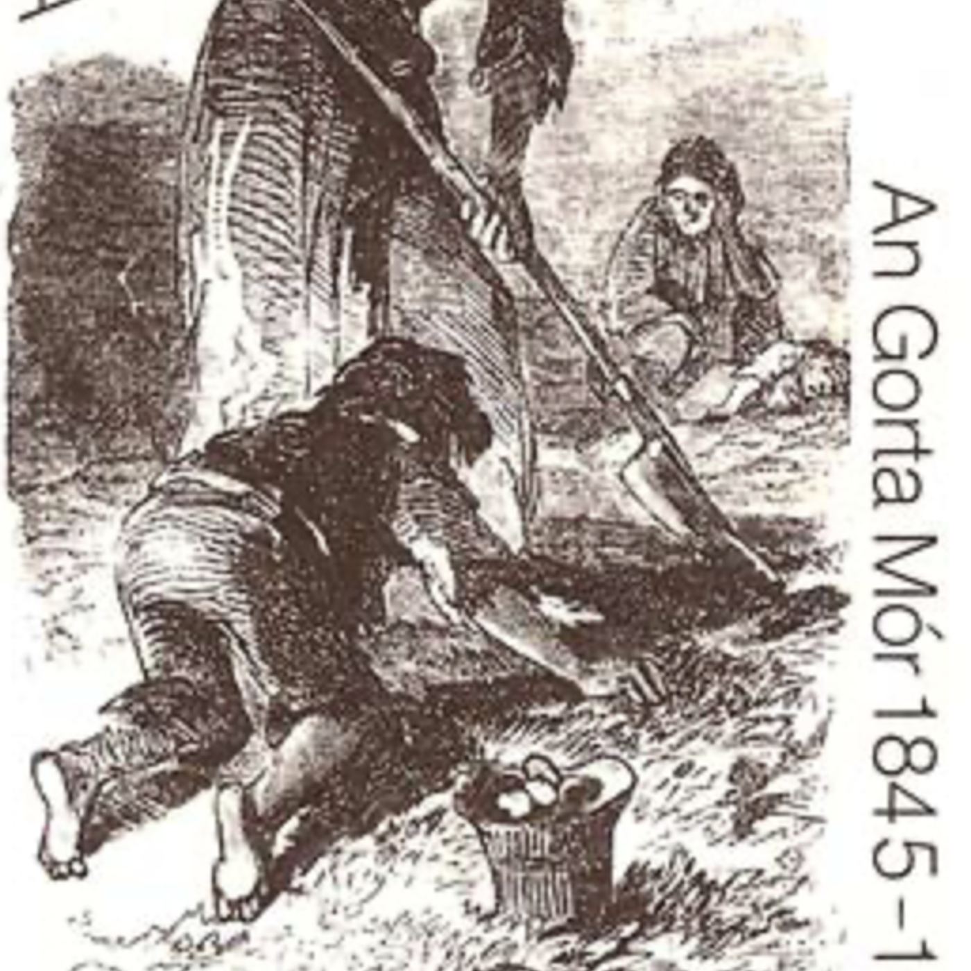 4/8: Plentiful Country: The Great Potato Famine and the Making of Irish New York Hardcover – March 12, 2024 by  Tyler Anbinder  (Author)