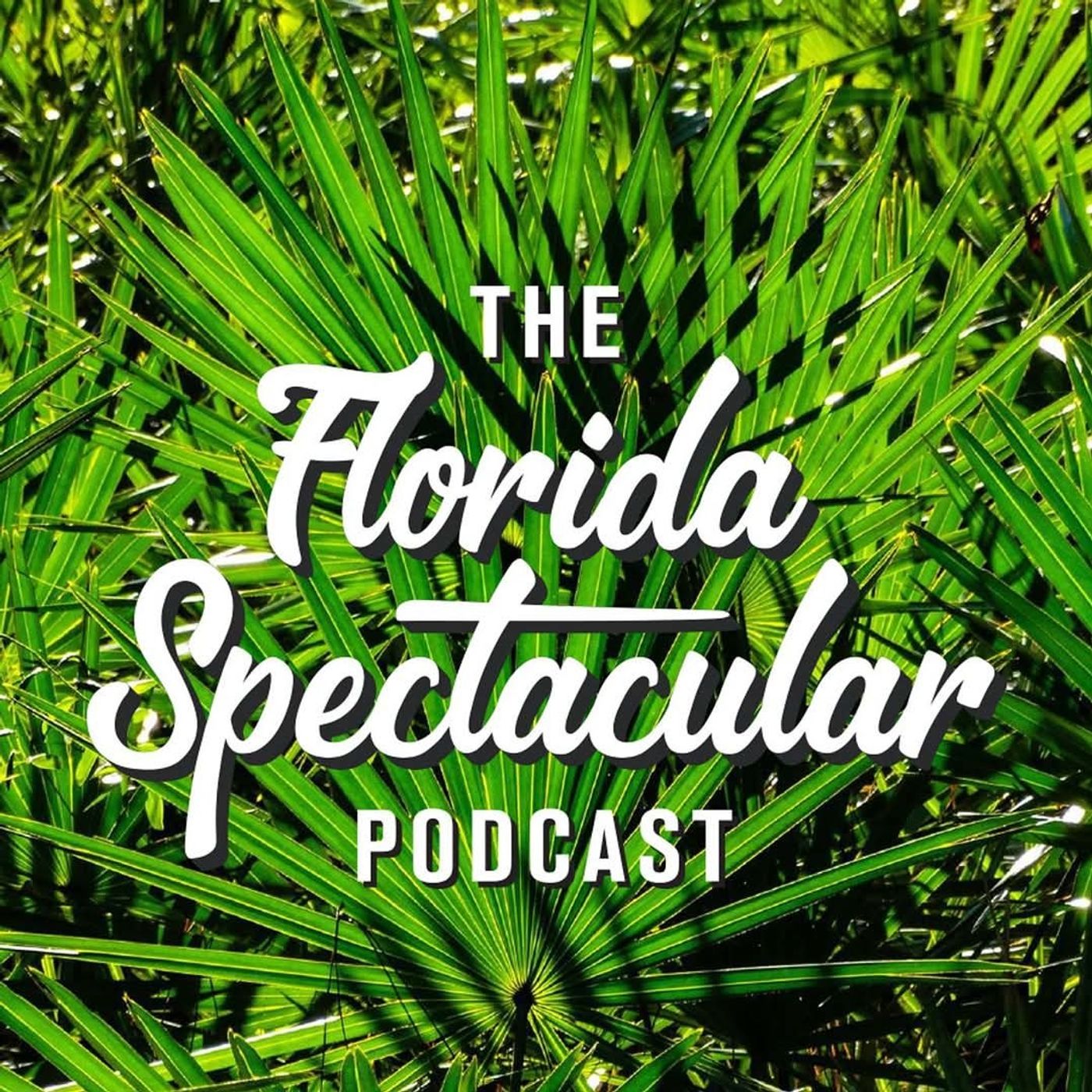 Radio St. Pete Podcast Archive