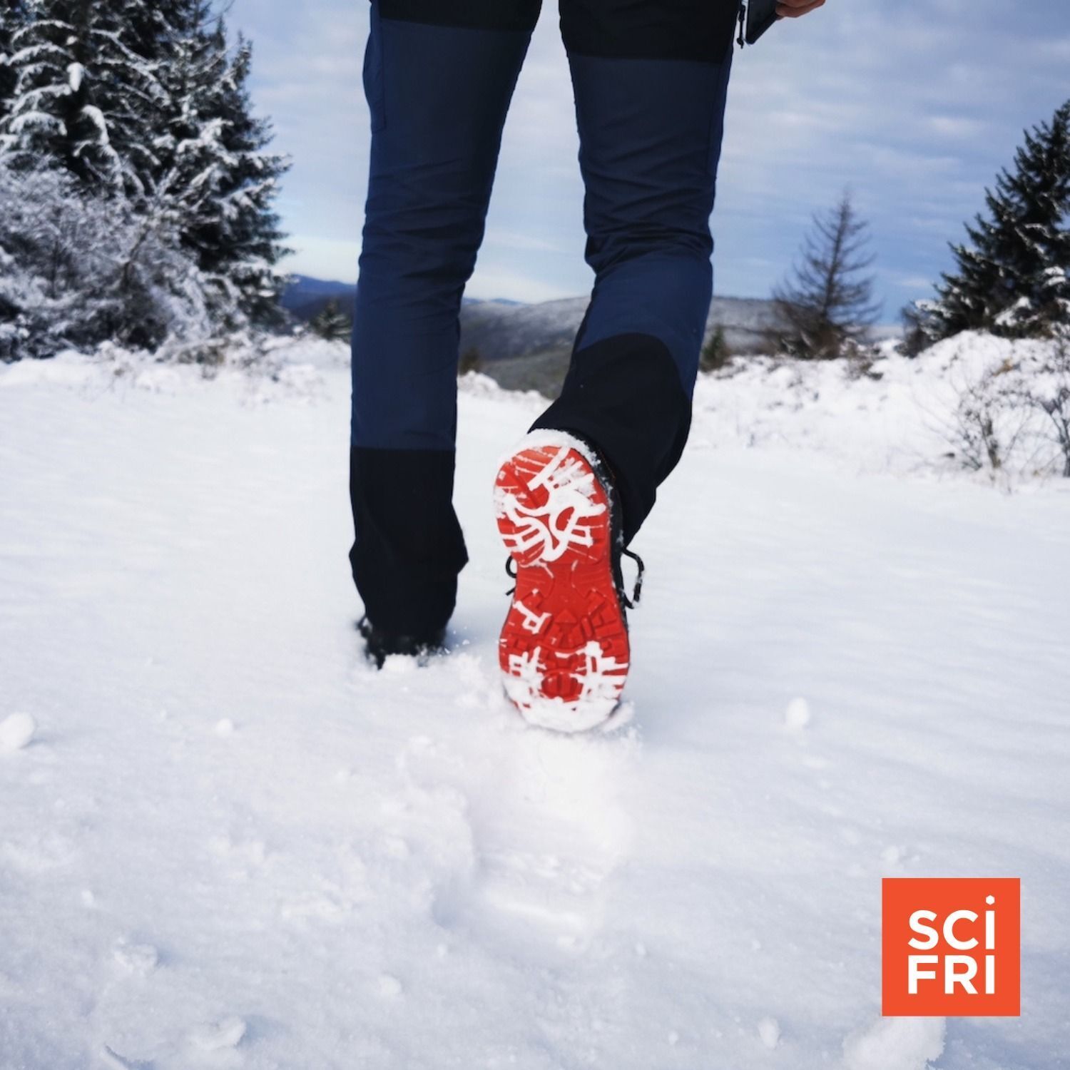 937: Scientists Predict Loss Of Deep Snow In Most Of U.S. episode artwork