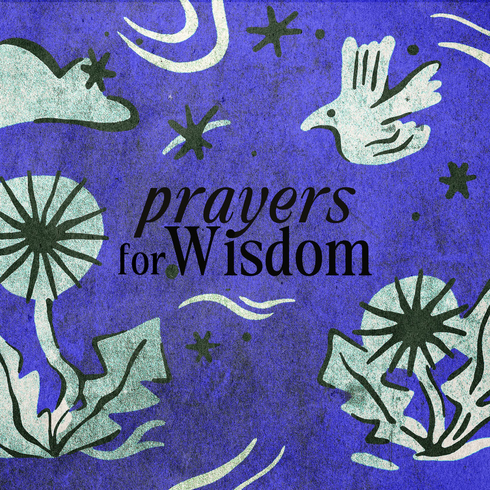 1/12/25 - Austin McCallum - Week 2