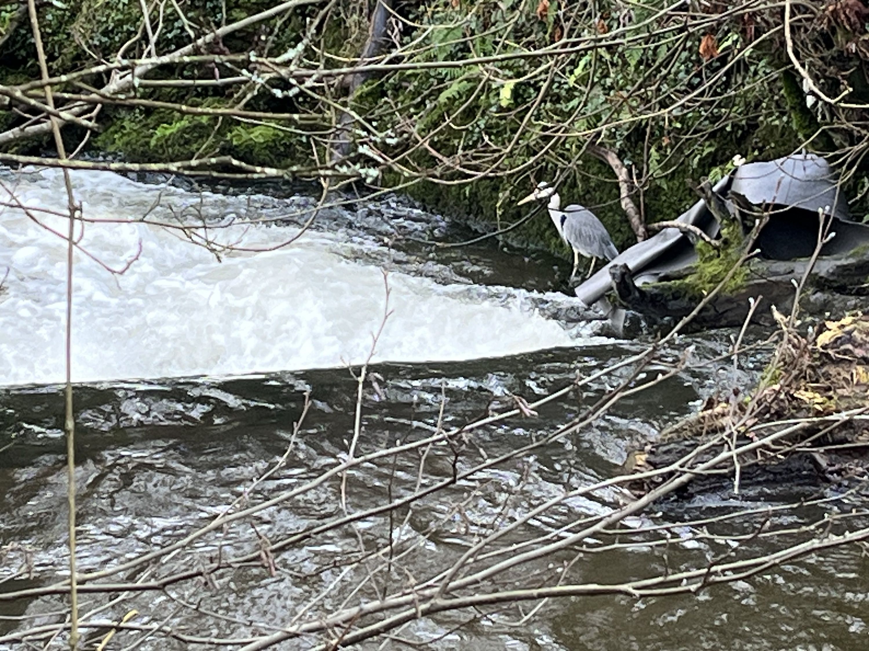 S202501 Ep6: PUNNING WEAKNESSES - Paul O’Mahony #decpodpomo 6/31