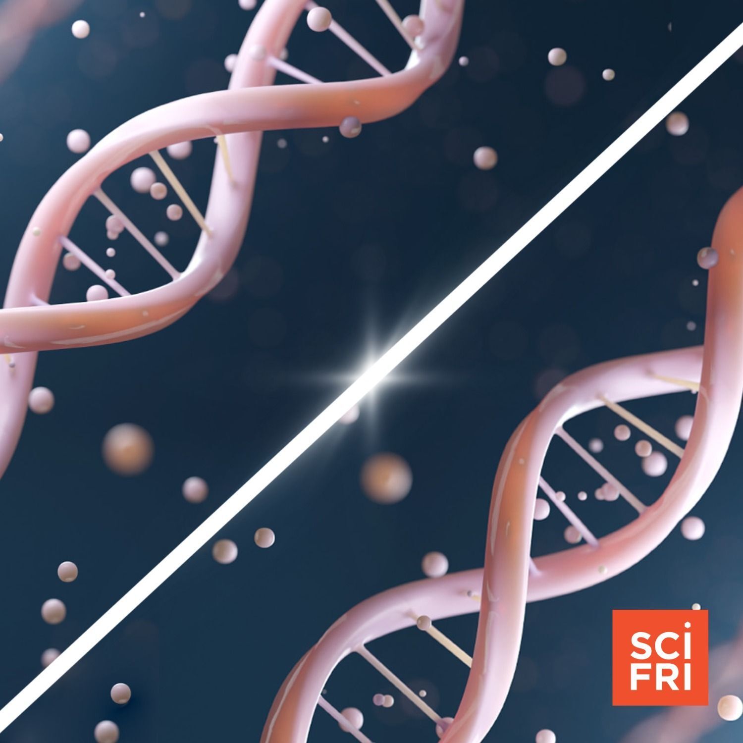 Science Friday