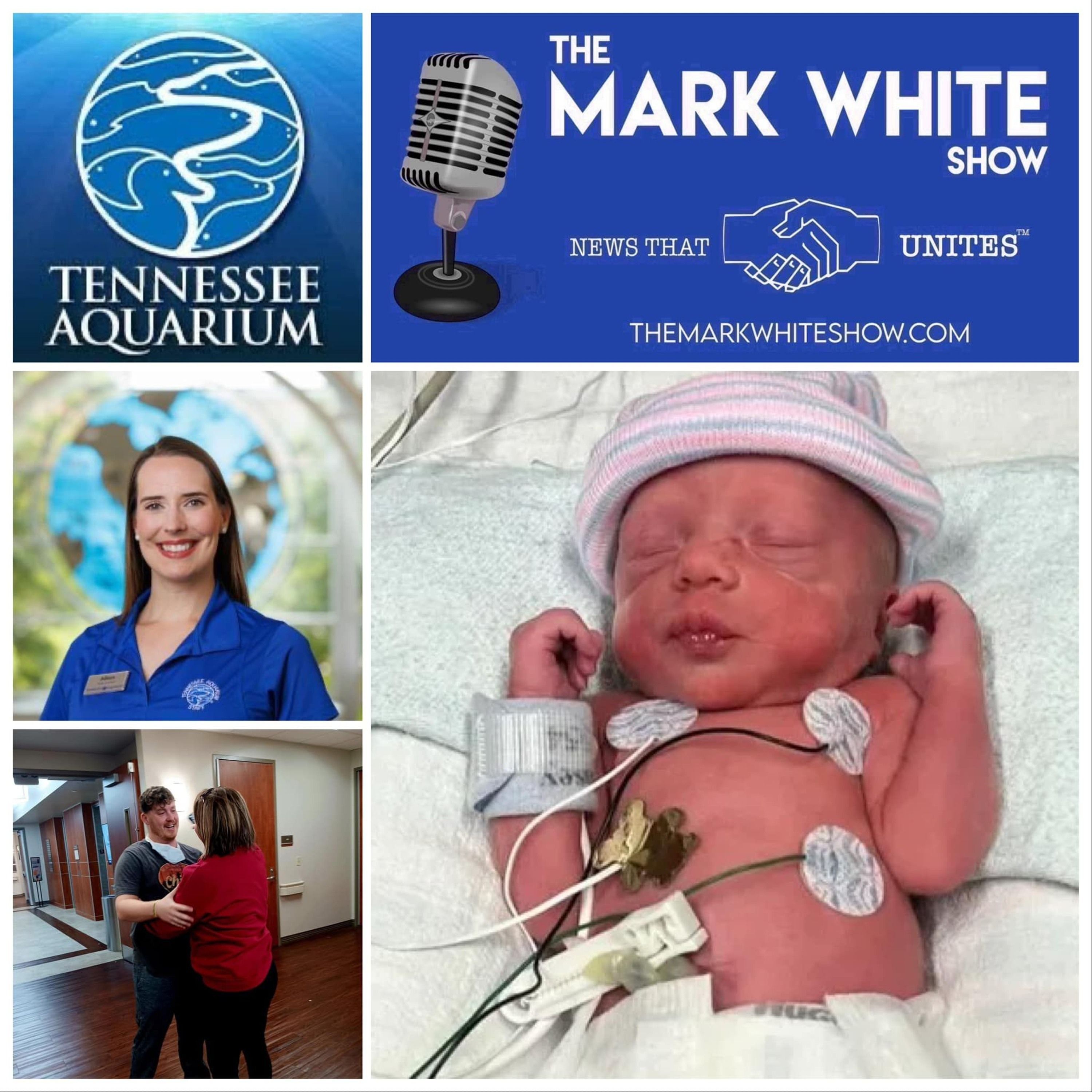 Tennessee Aquarium with Alison Pryor & Stand By Baby Bexley in the NICU