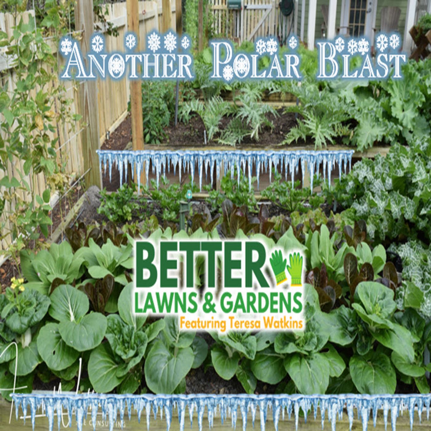 Better Lawns and Gardens - Hour 1 Polar Vortex and Garden Questions January 18, 2025